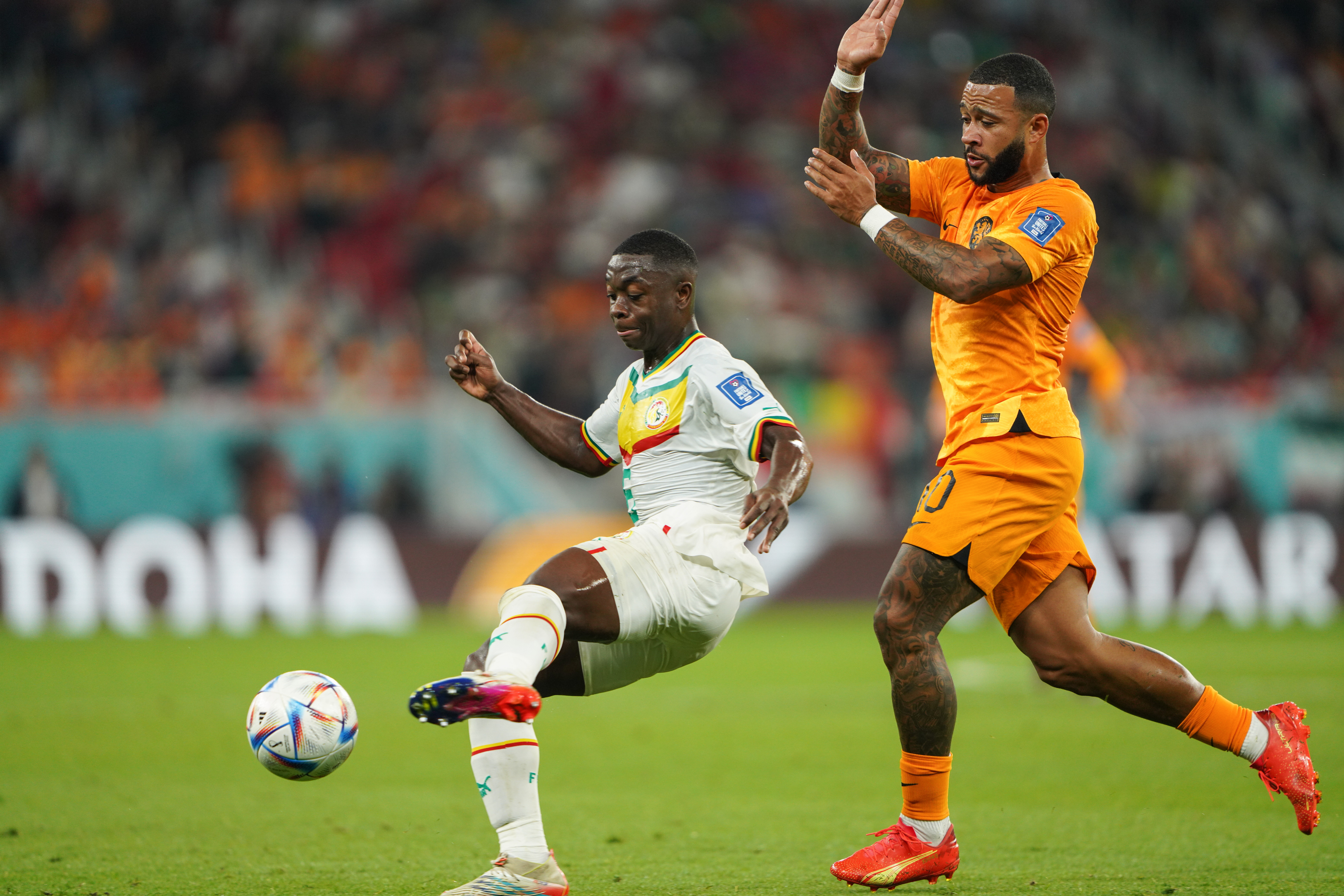 Senegal vs Netherlands