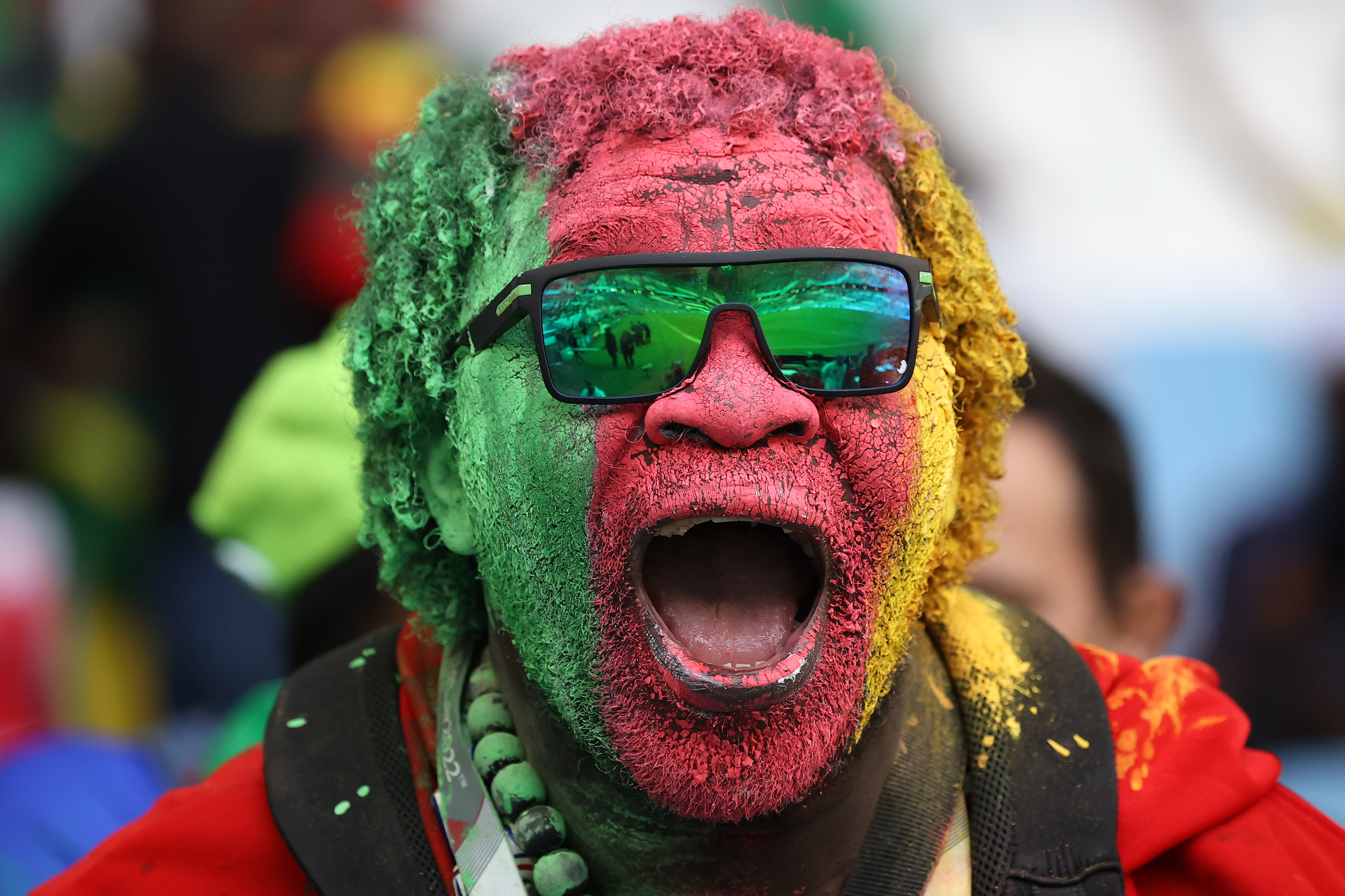 Cameroon fans