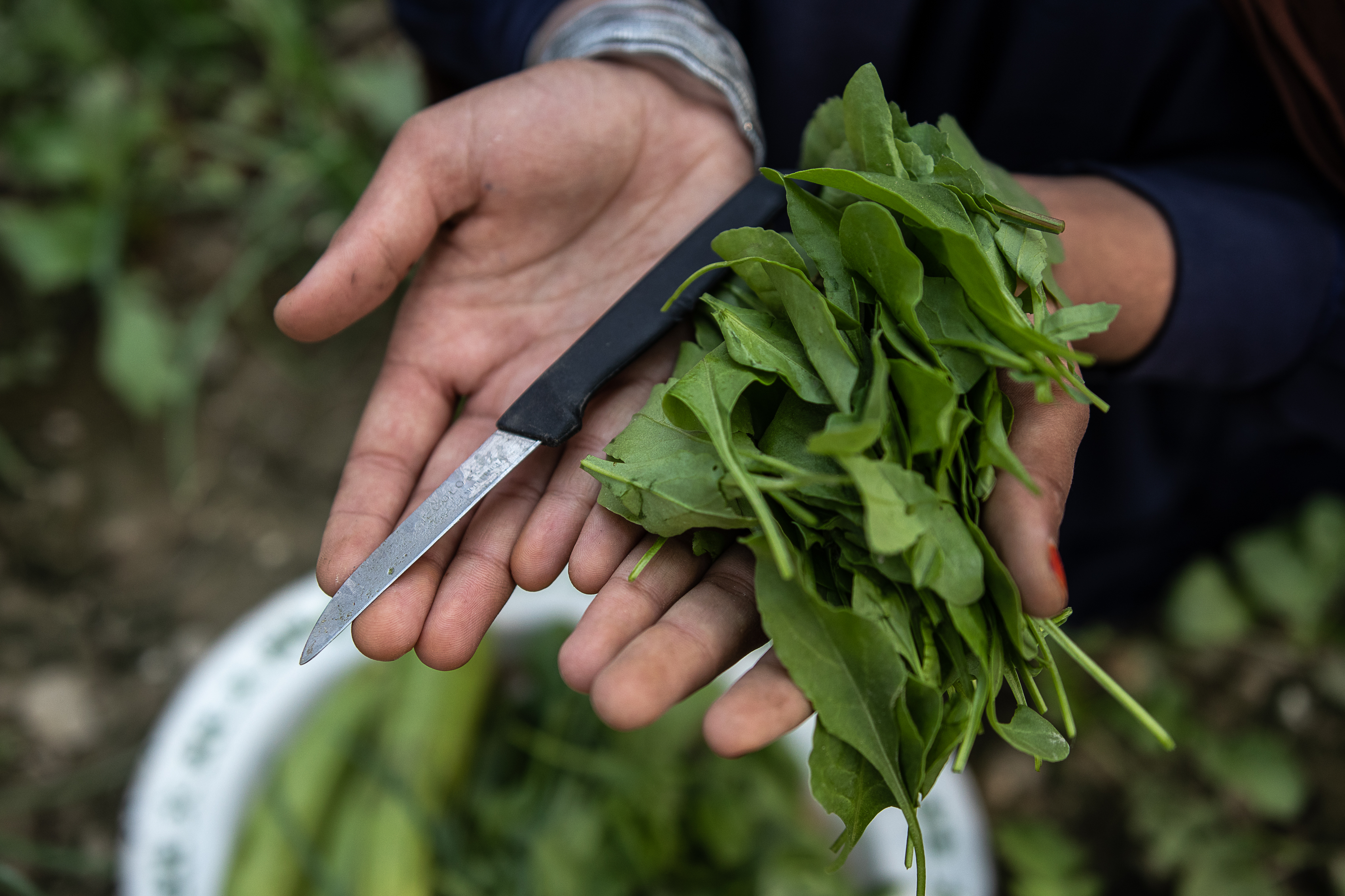 Afghan girls banned from school