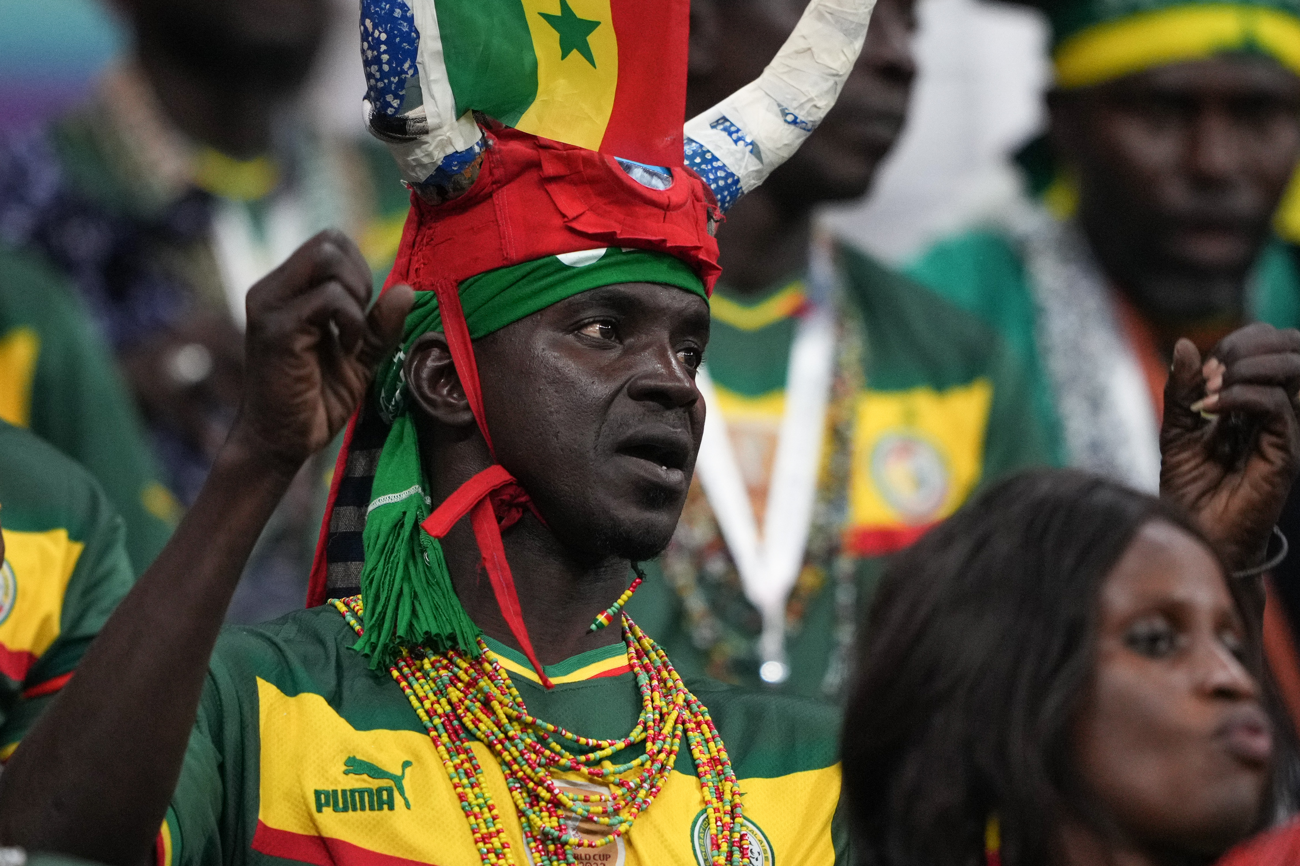 Senegal fans celebrate in the stands.