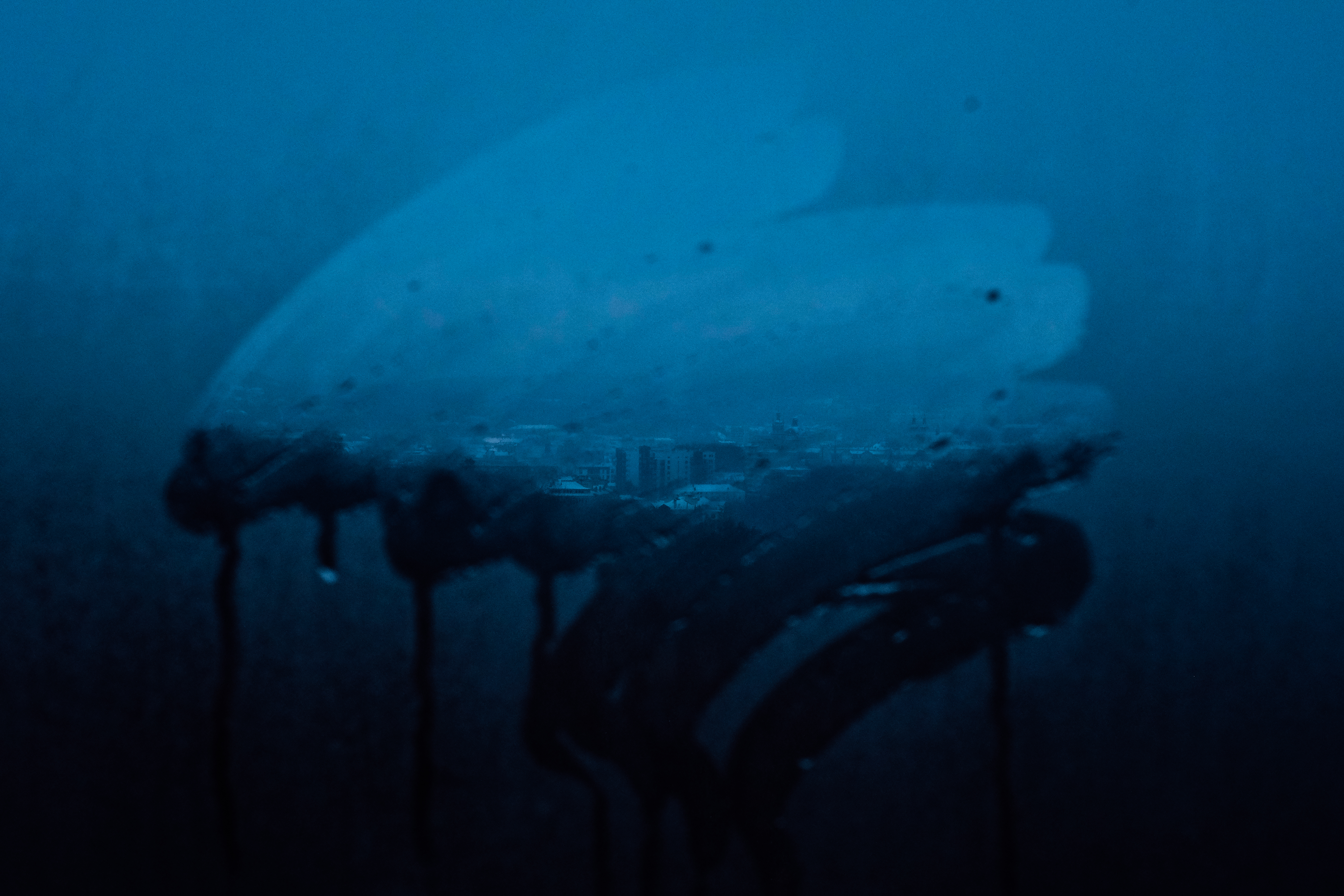 Condensation on a window