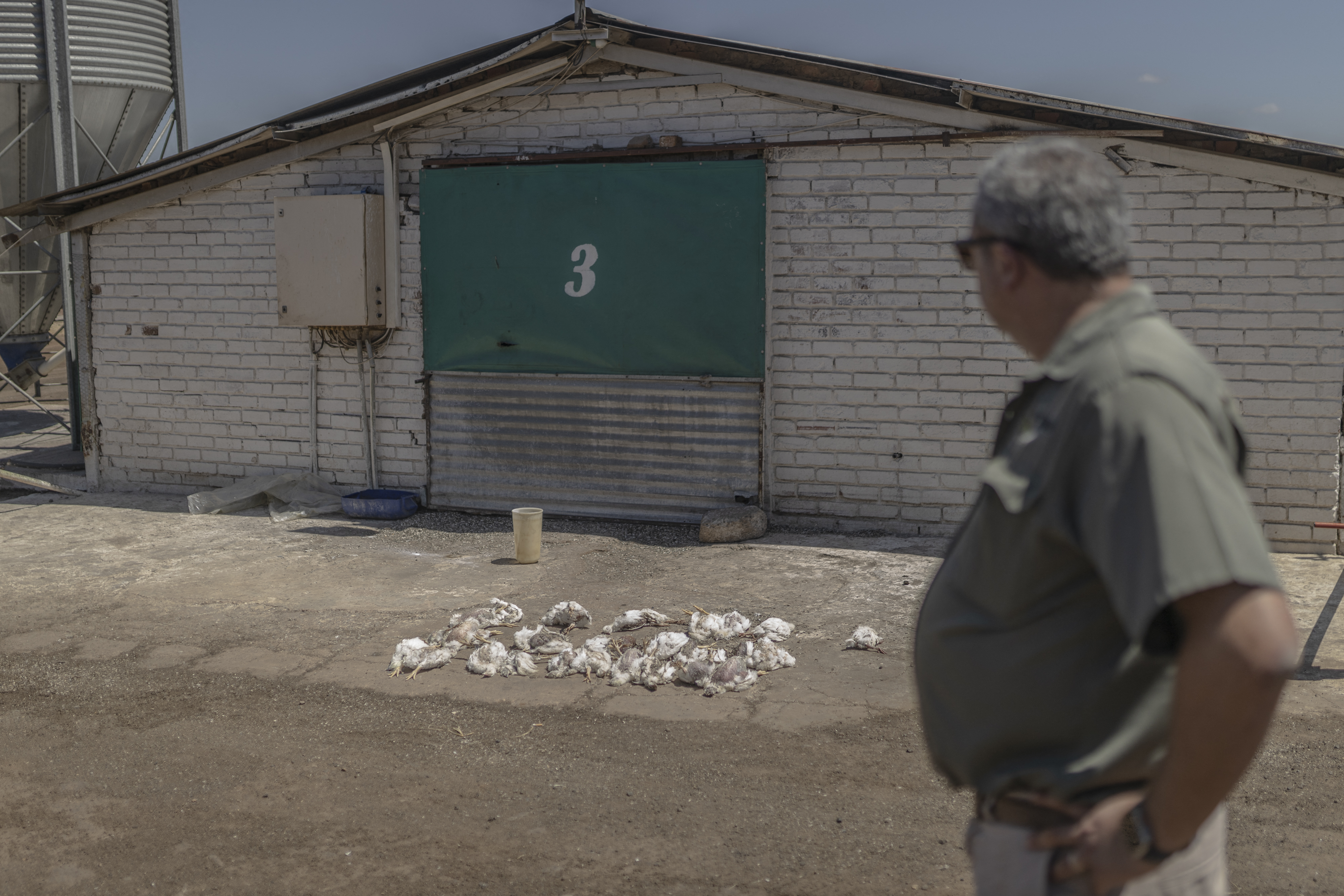 Record power cuts have caused shortages of some staples,