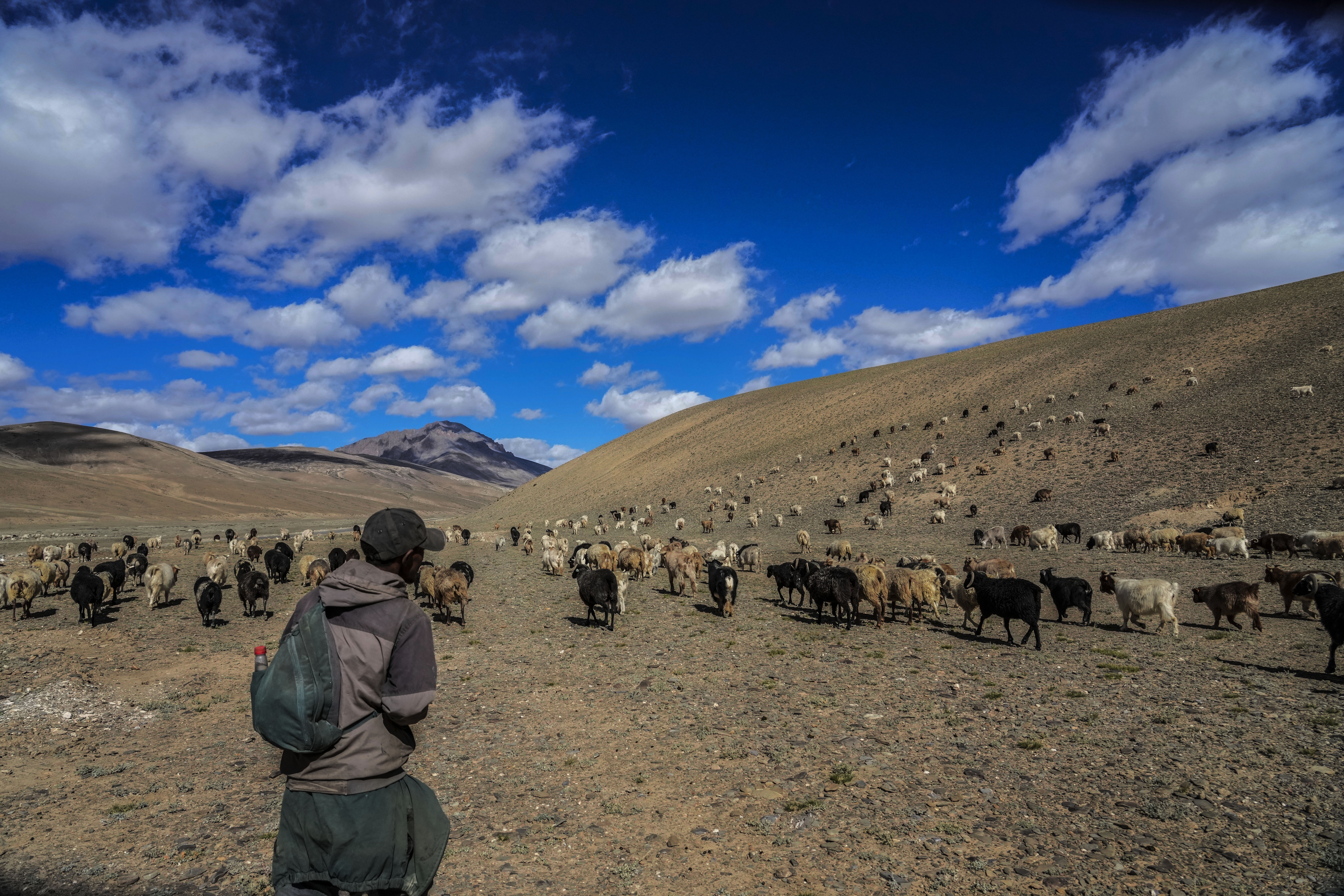 Climate Ladakh