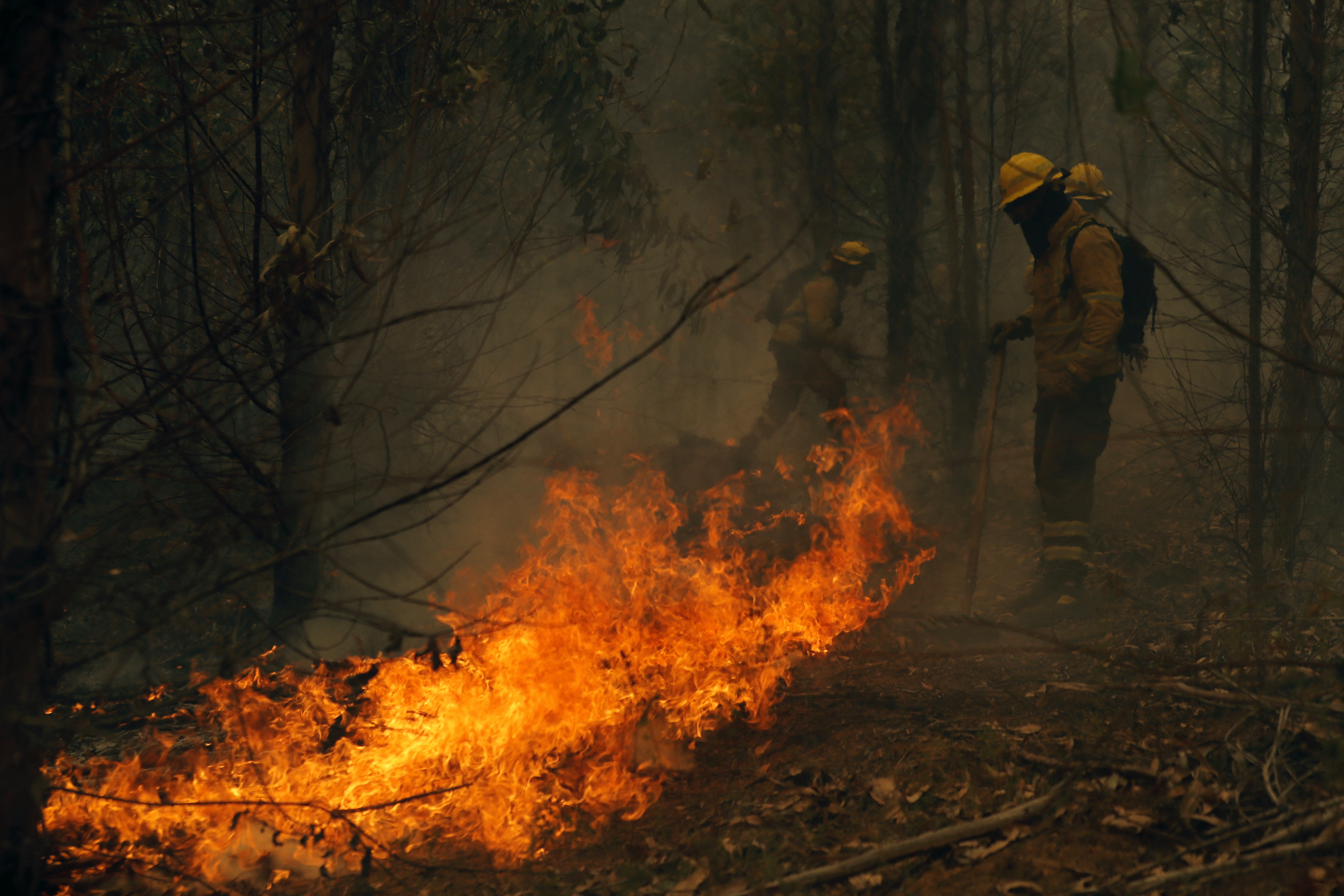 Firefighters try to put out a fire in Nacimiento, Concepcion province, Chile.