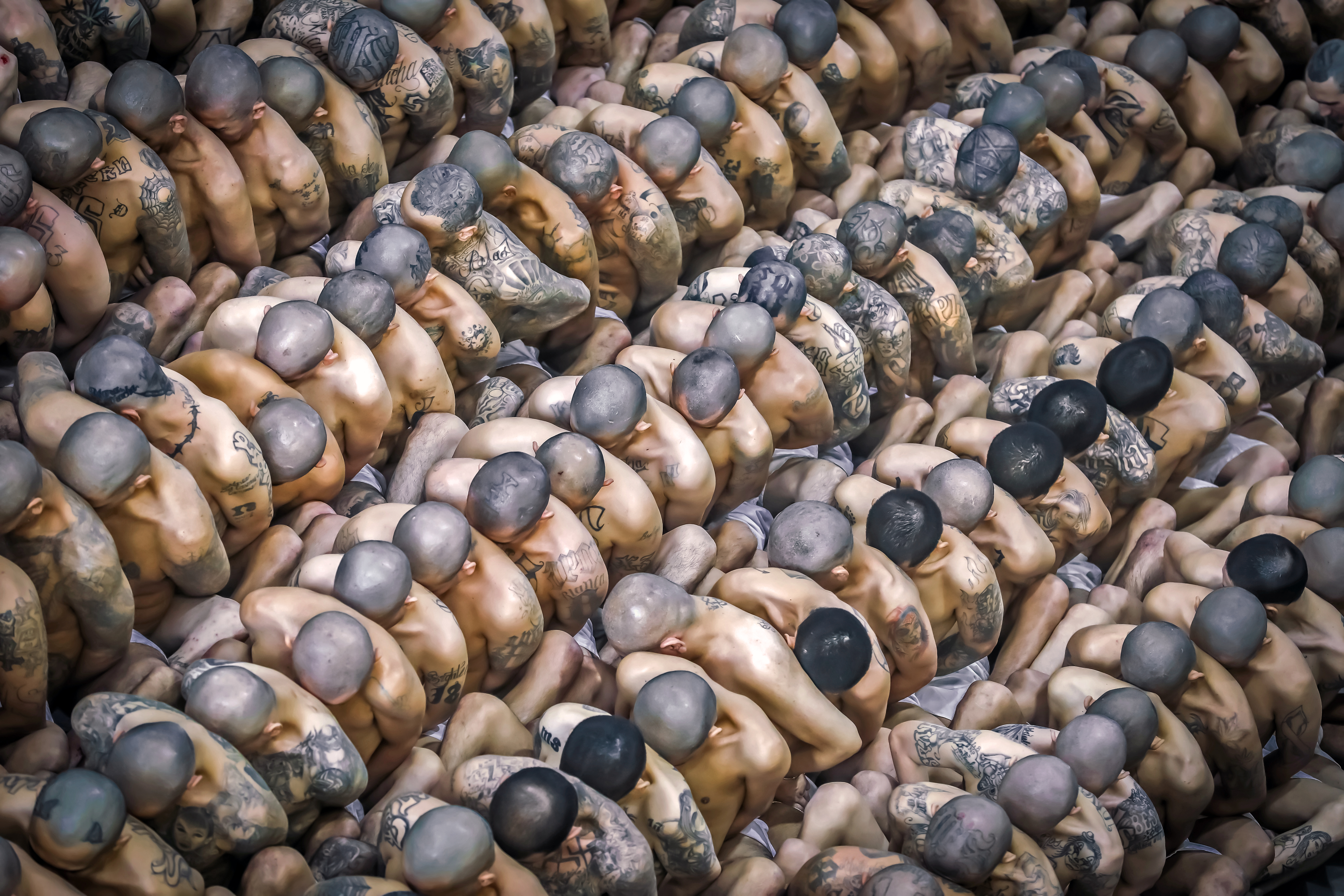 First inmates transferred to El Salvador's new gangster prison