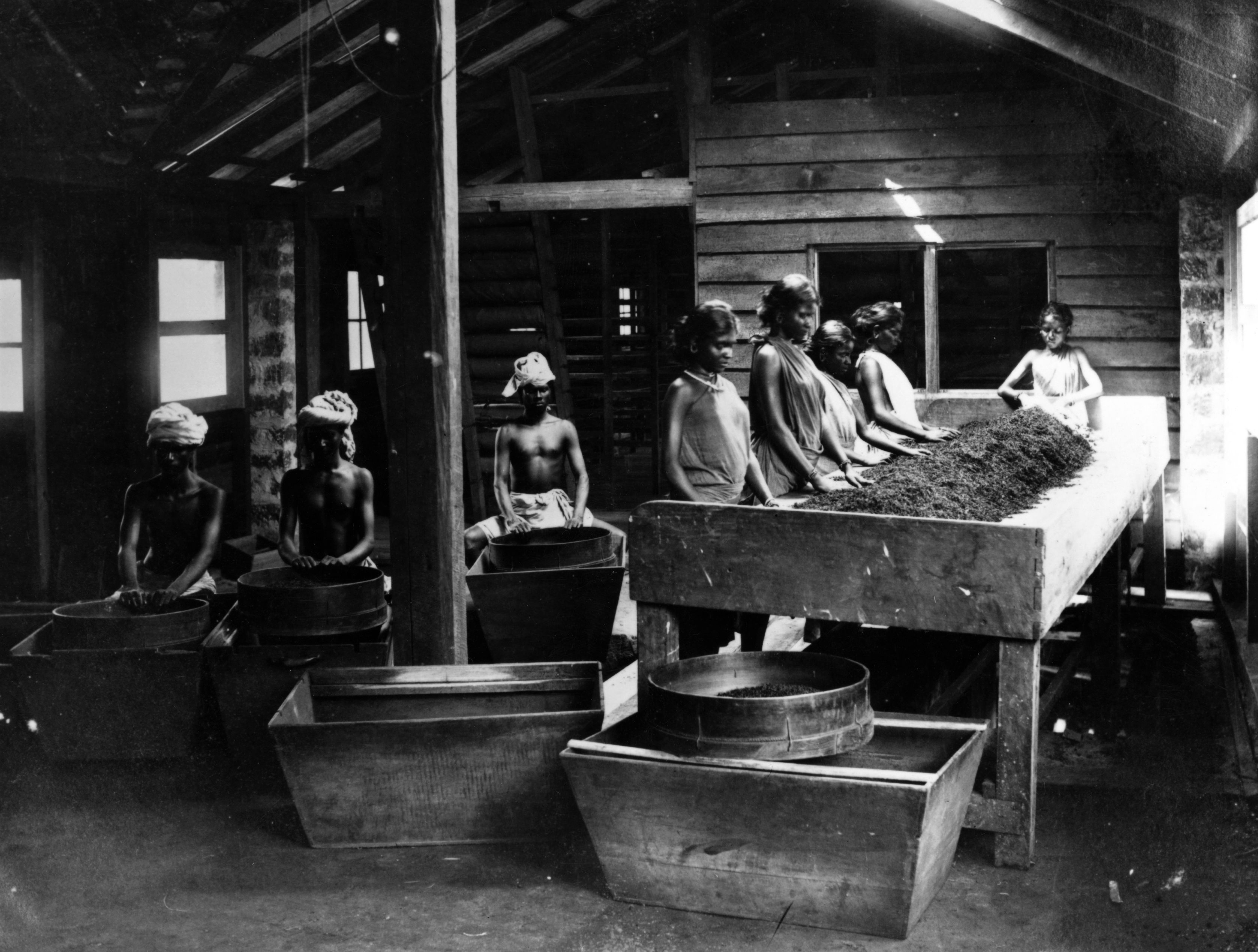 Workers drying tea leaves at a factory in India