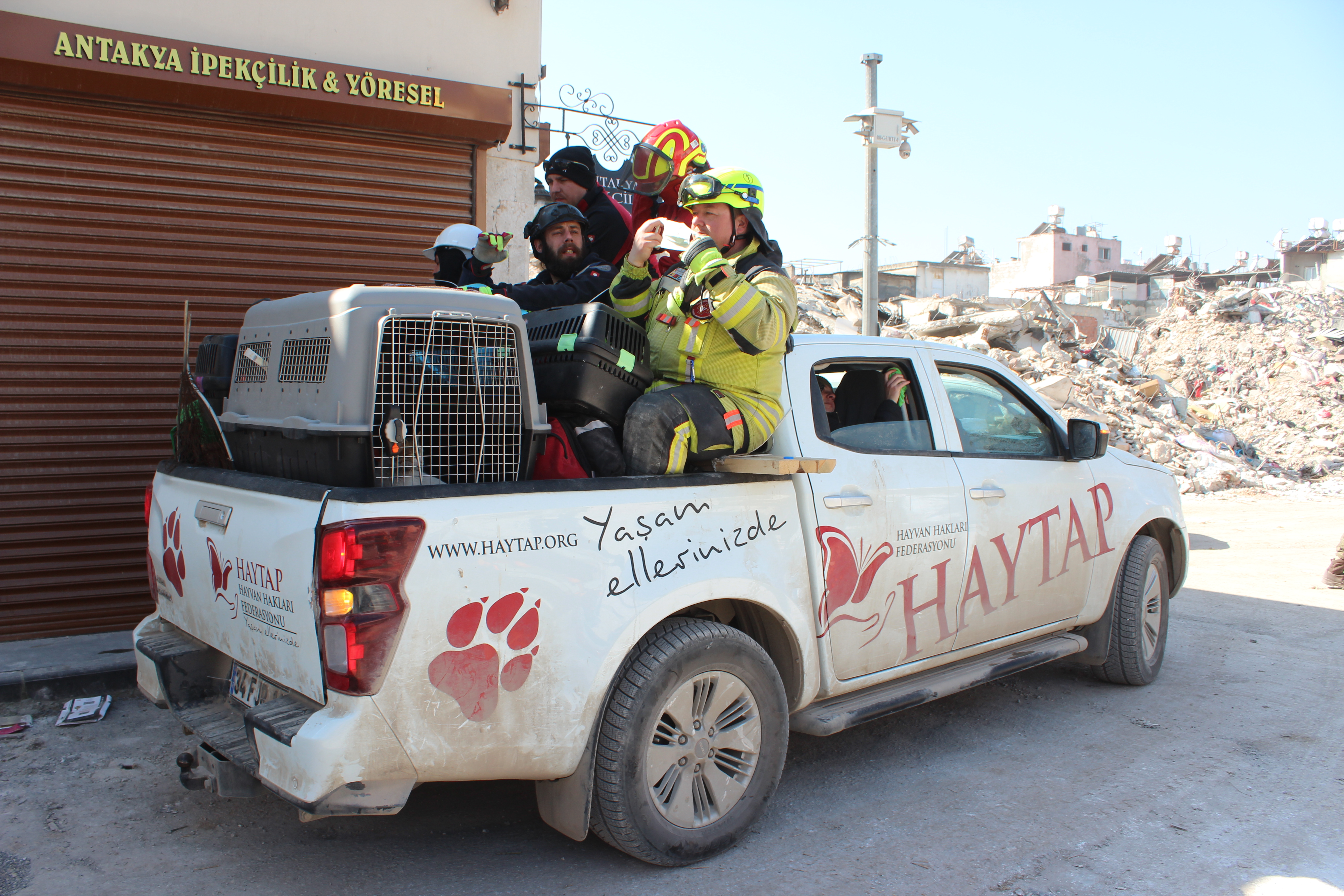 The Haytap animal rescue truck in Antakya