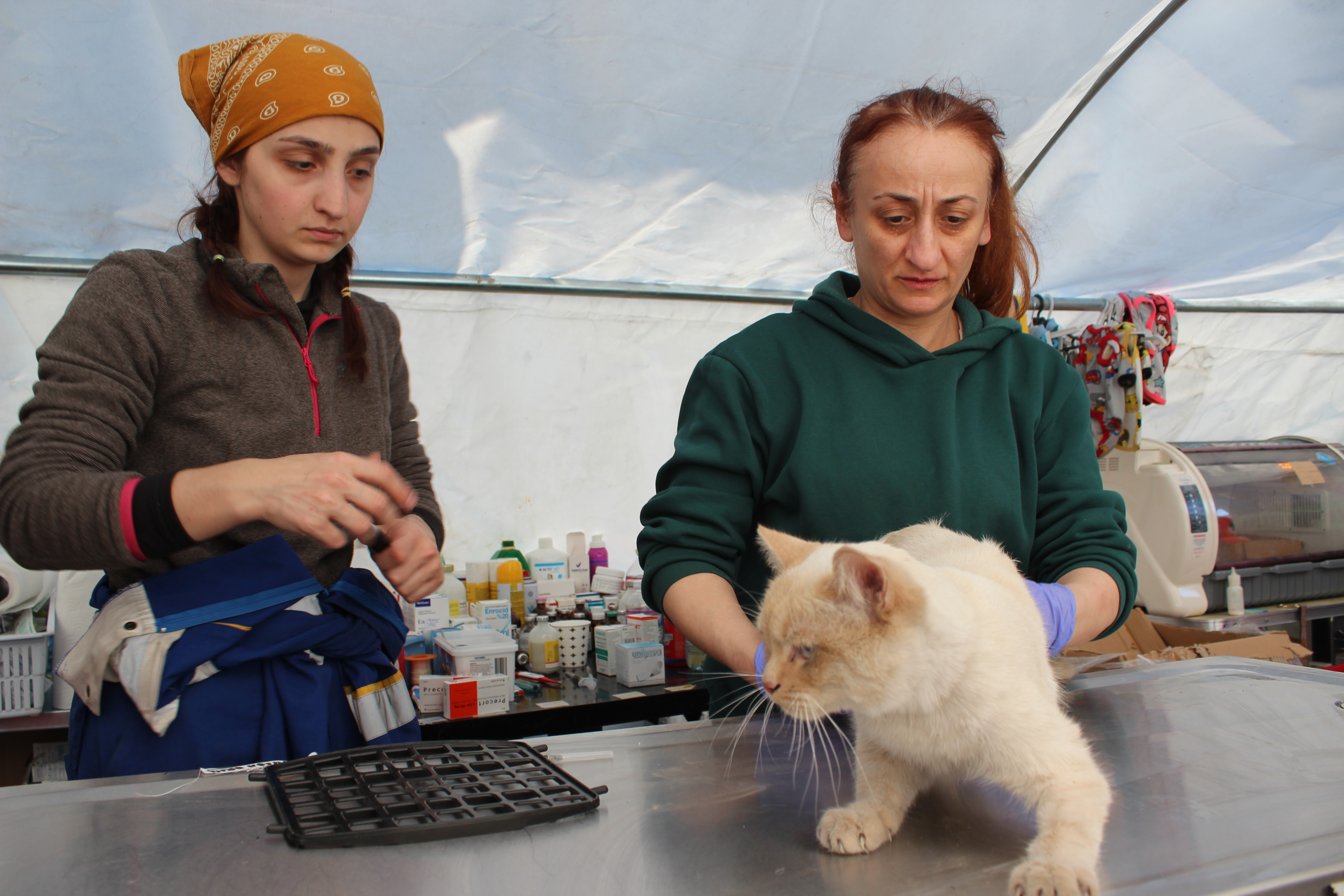 Vet Zinnet Patan, right, and veterinary technician Elif Akhan inspect an injured cat at the animal field hopsital in Antakya