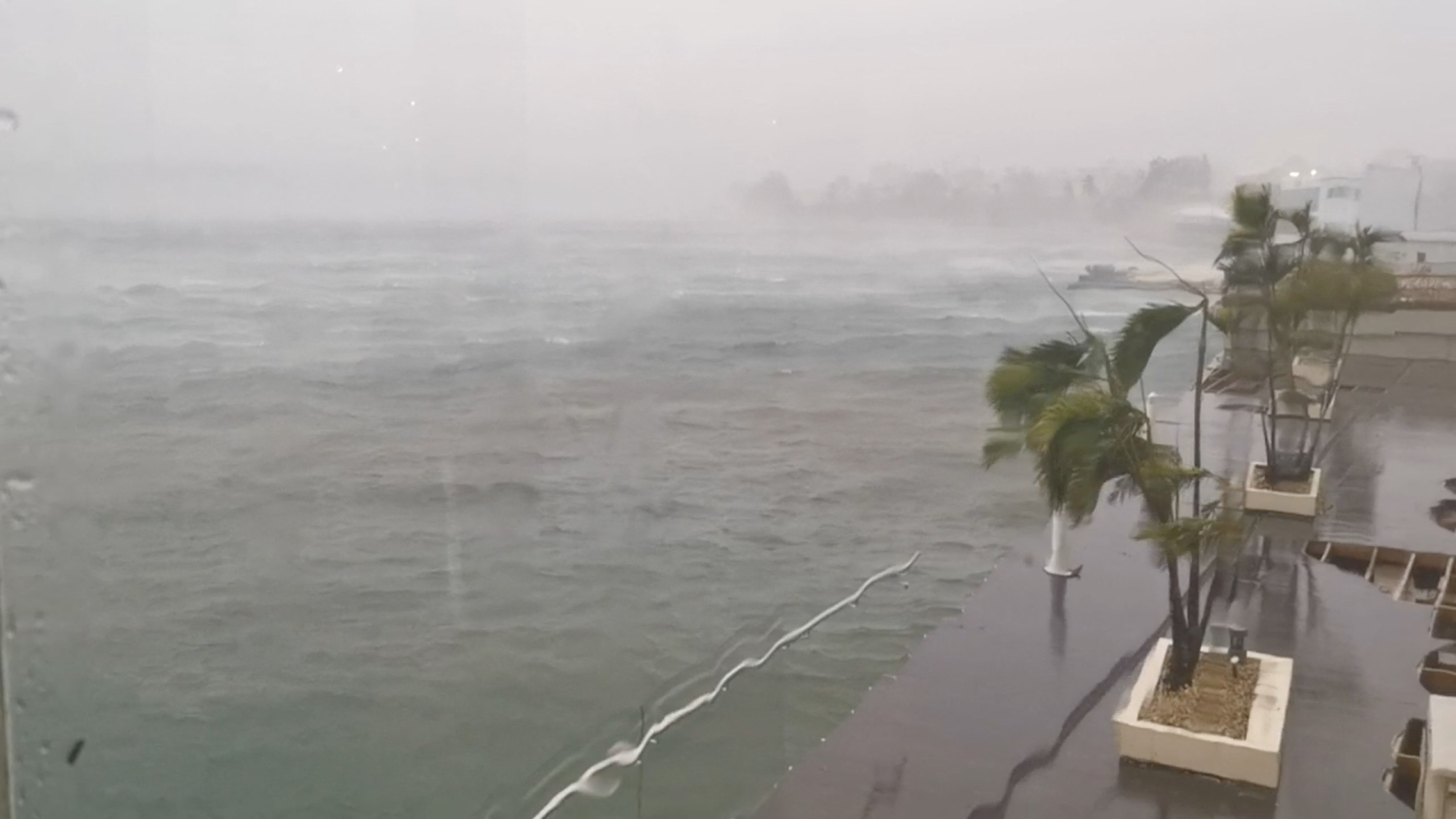 Trees sway in the wind as cyclone Kevin passes over Port Vila, Vanuatu March 3, 2023, in this screen grab obtained from a social media video.