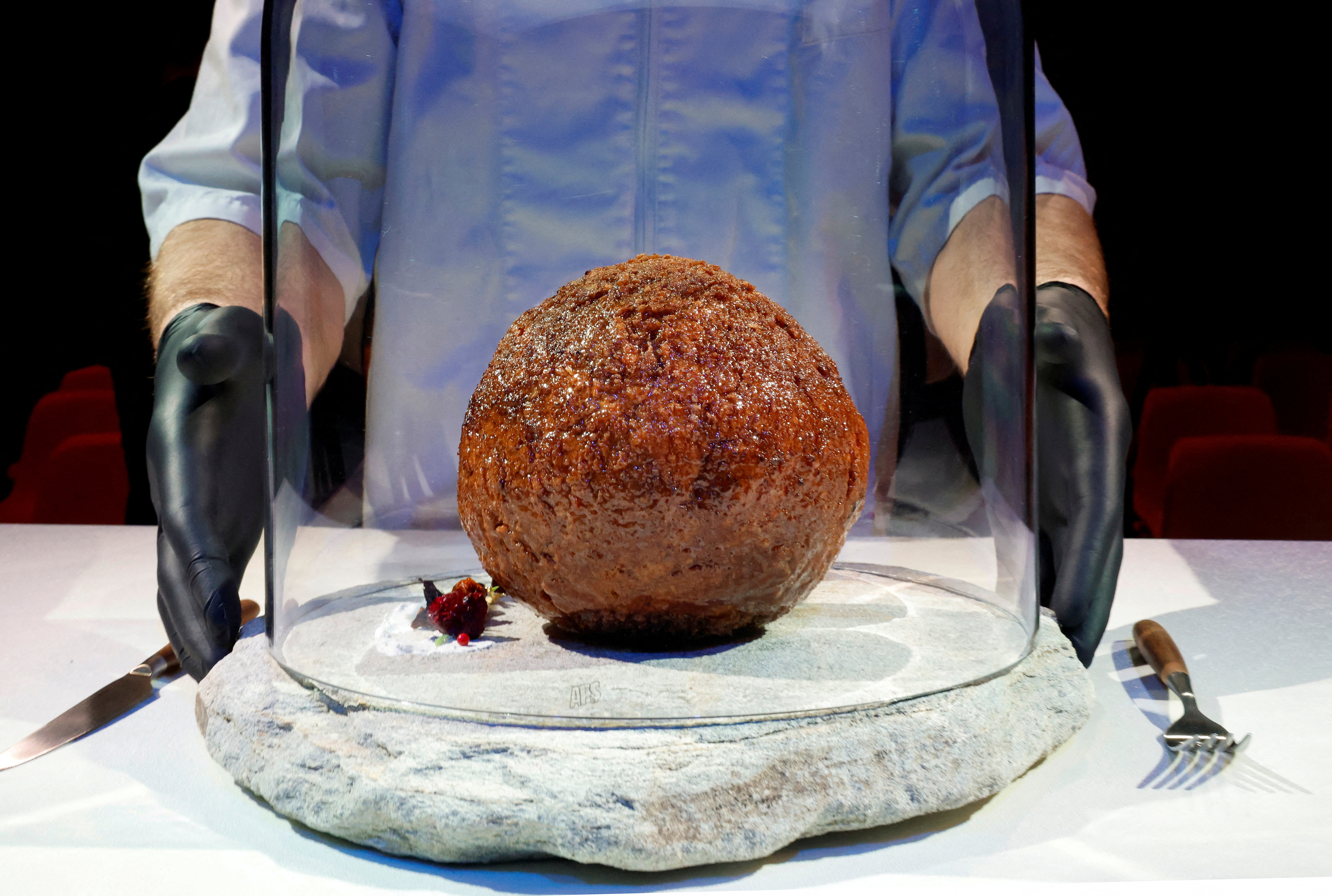 A meatball made from flesh cultivated using the DNA of an extinct woolly mammoth is presented at NEMO Science Museum created by a cultured meat company, in Amsterdam Thank you