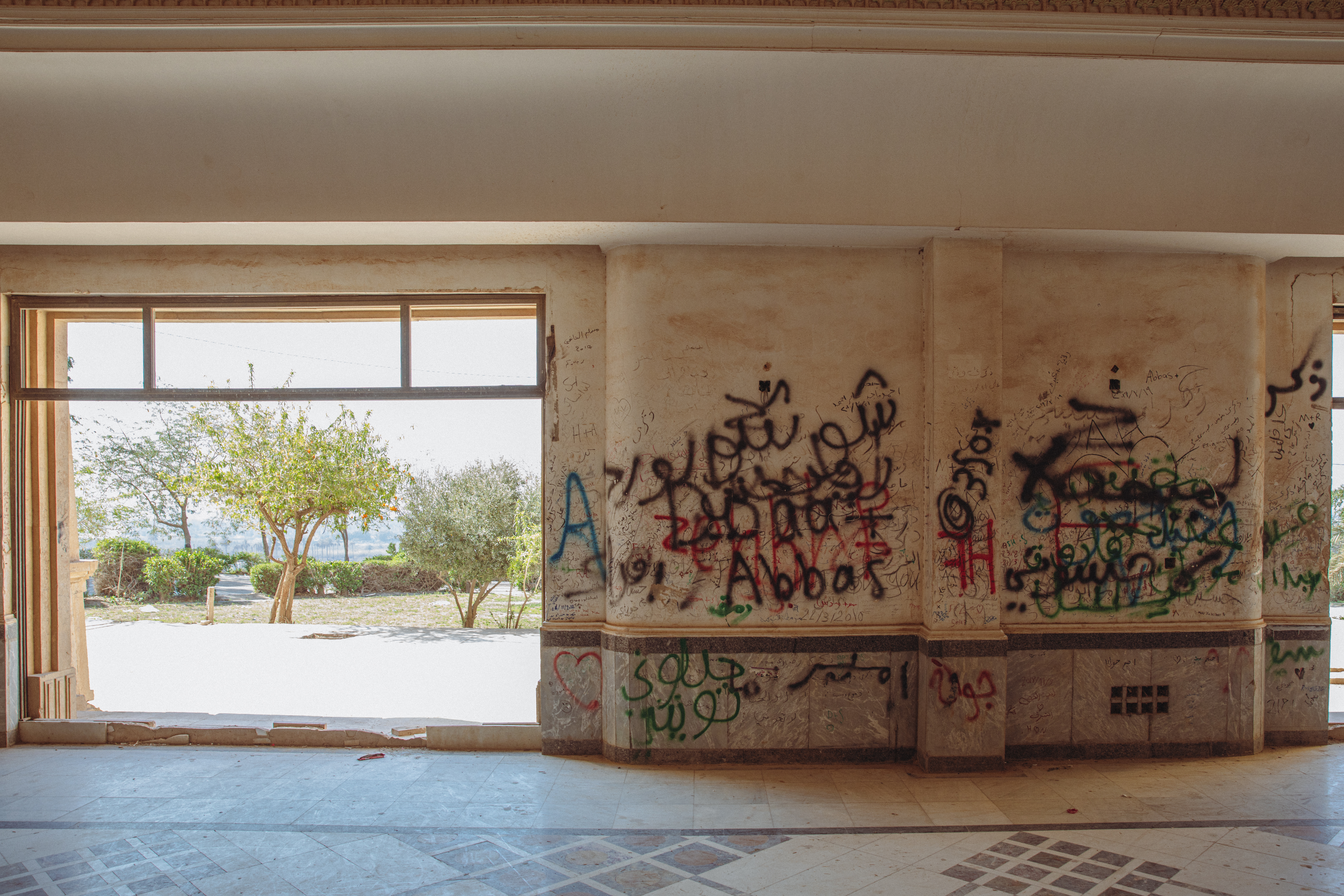 An open door in a graffiti-covered wall looks out onto an untended garden