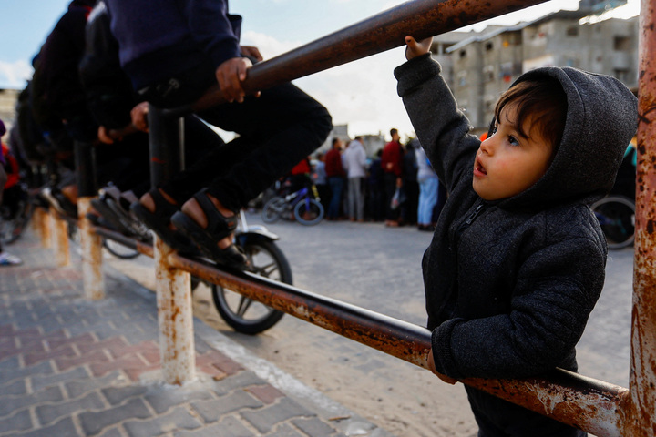 A little boy tries to grab a fence