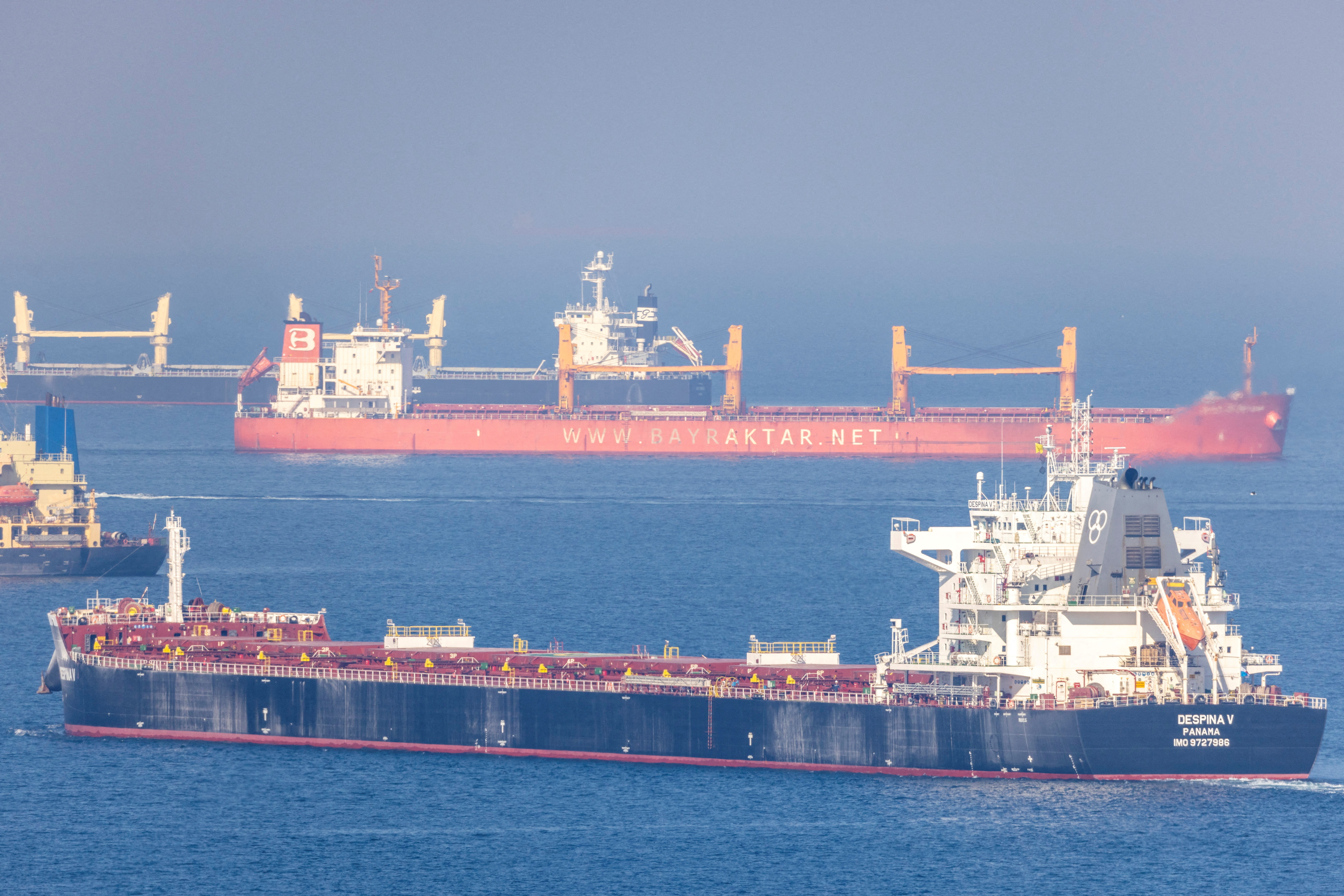 Cargo ship Despina V, carrying Ukrainian grain, is seen in the Black Sea off Kilyos near Istanbul, Turkey