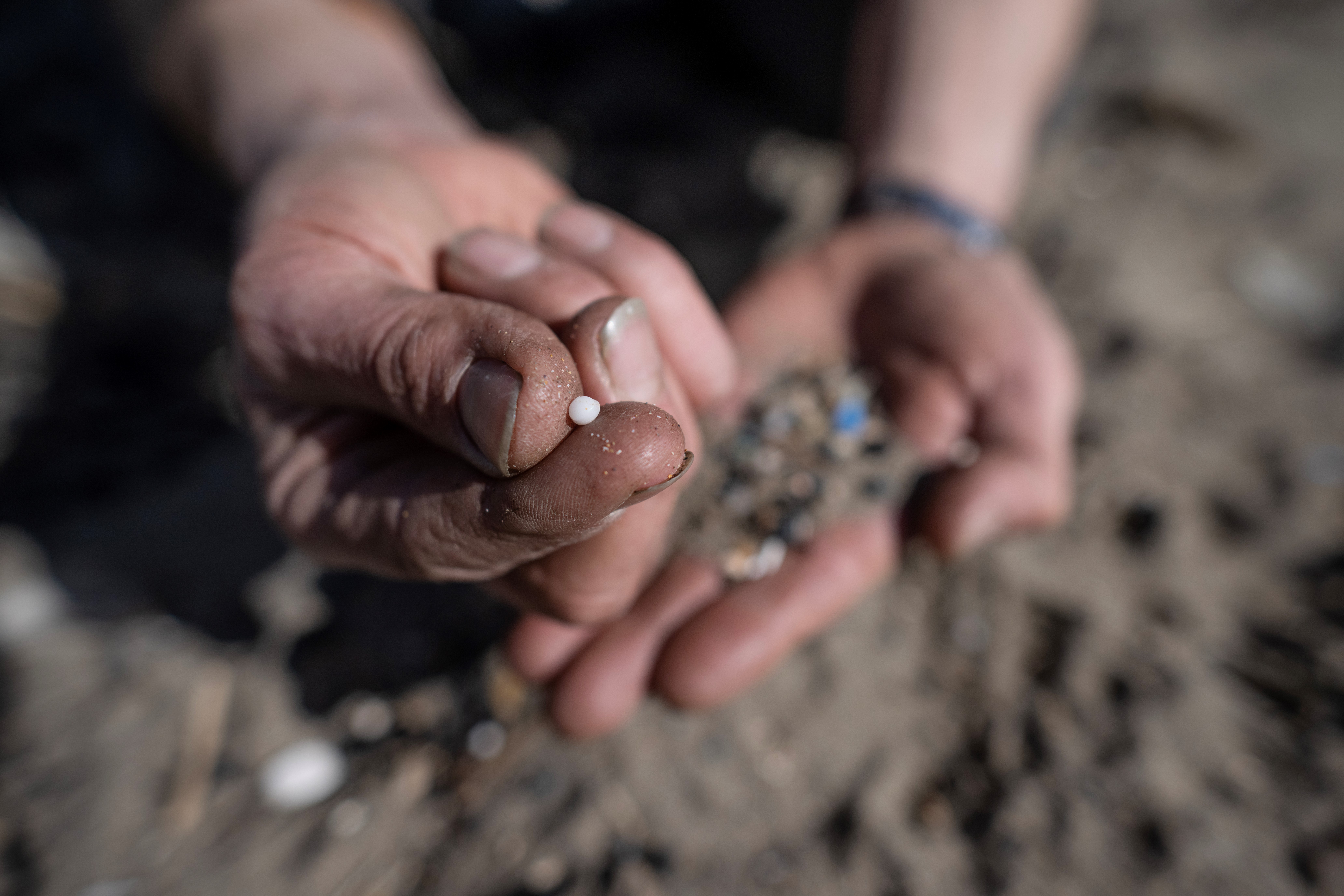 A volunteer shows nurdles collected during a beach clean