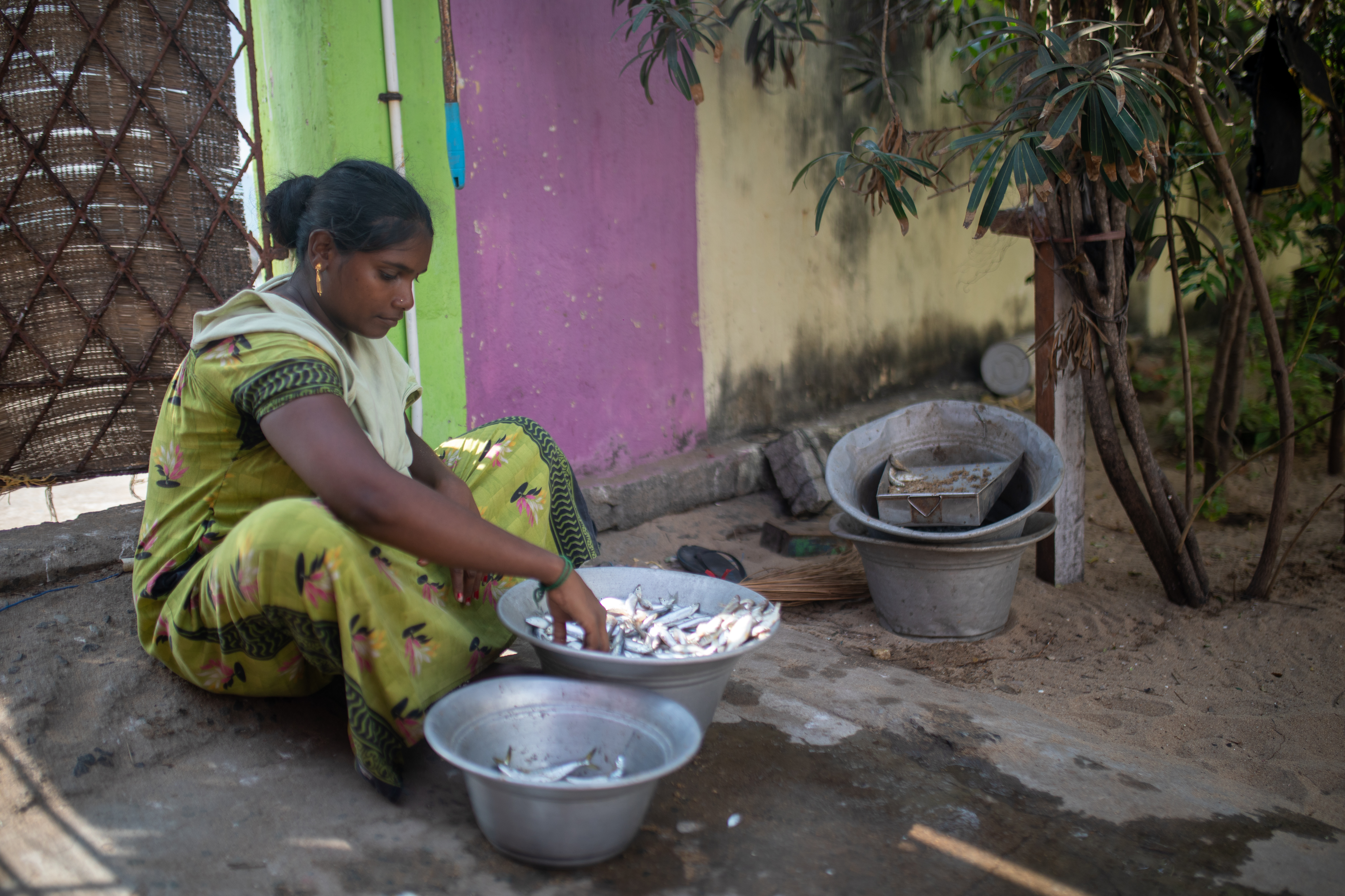 A photo of a person transferring fish from one metal bucket to another.