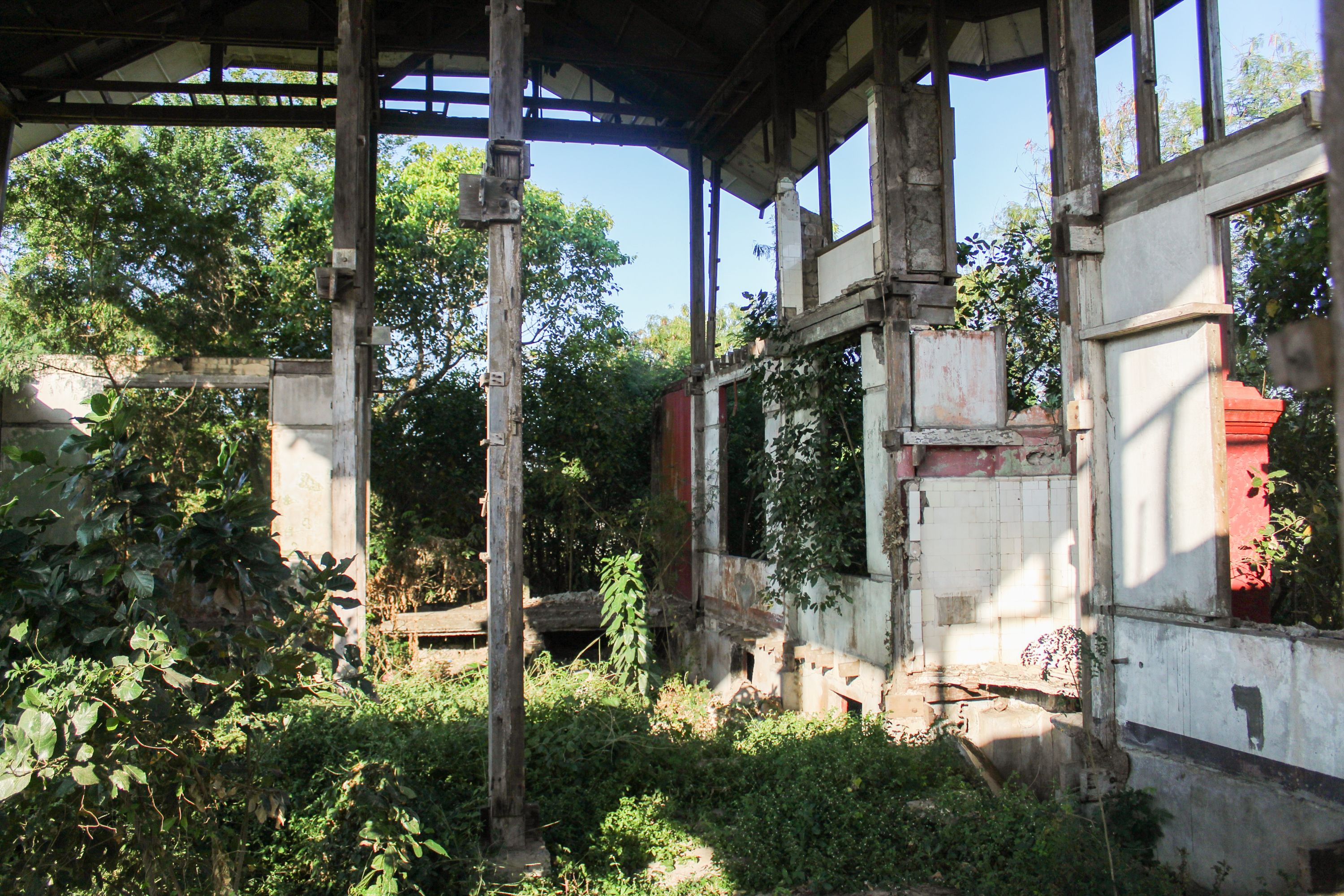 The 'Red House' is now ruined and overgrown. There are old pillars, the windows are missing and the walls have collapsed. Grass, creepers and bushes are taking over. The roof is mainly intact.