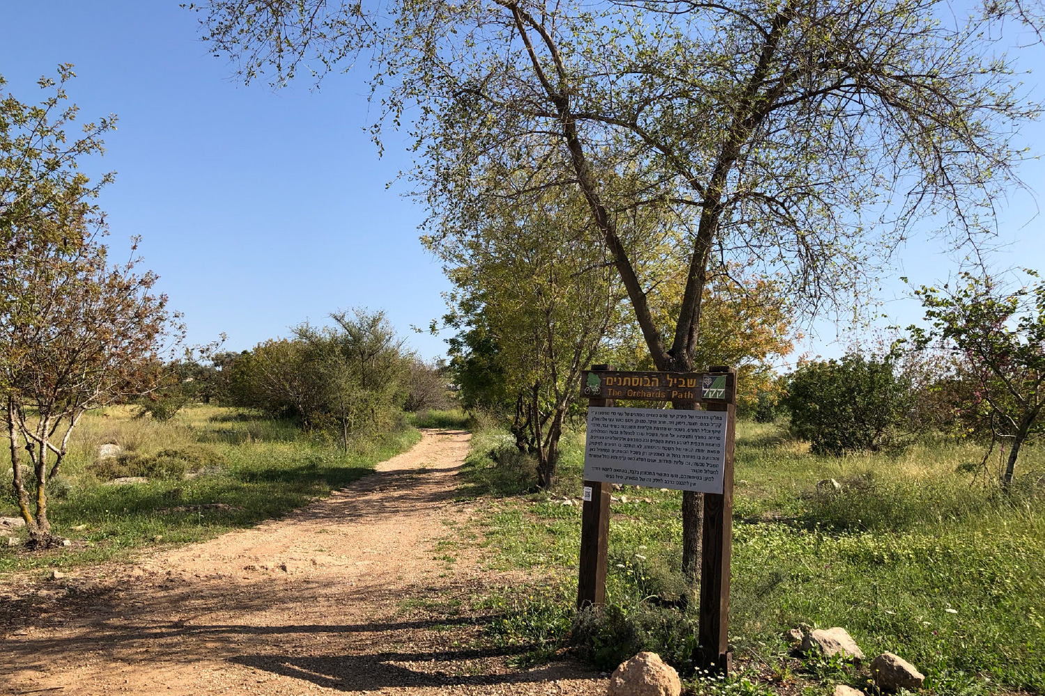 INTERACTIVE - NAKBA Nabala orchard today-1684046730