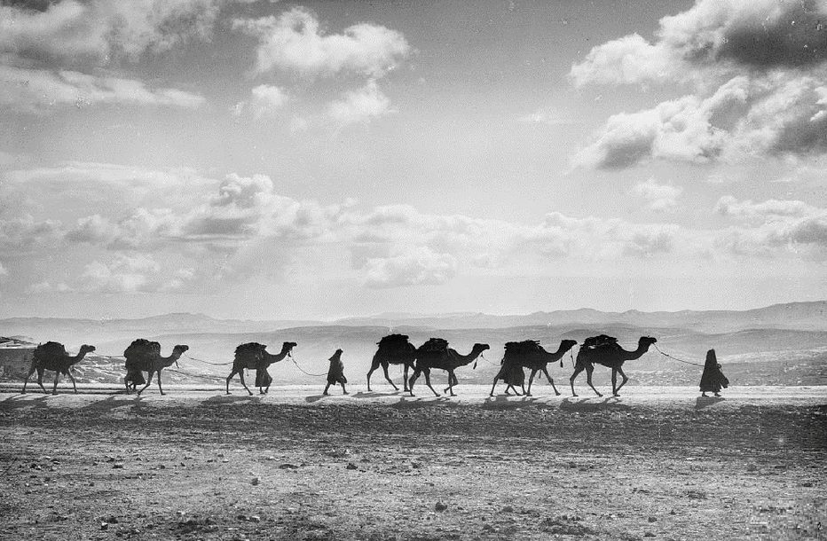 [Photo courtesy: G. Eric and Edith Matson Photograph Collection, Library of Congress, 1918/BMJ]