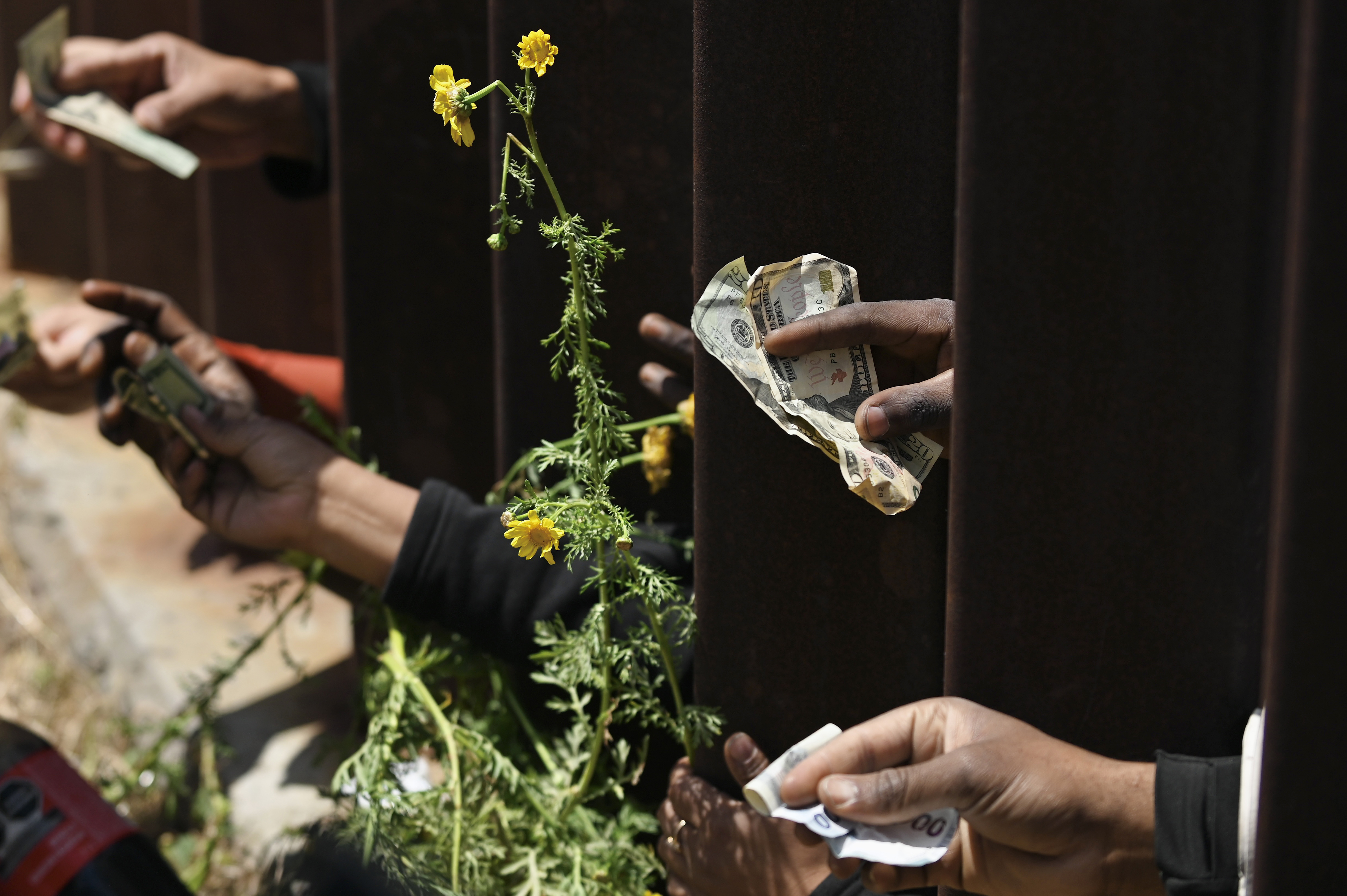 Title 42 Tijuana-San Diego