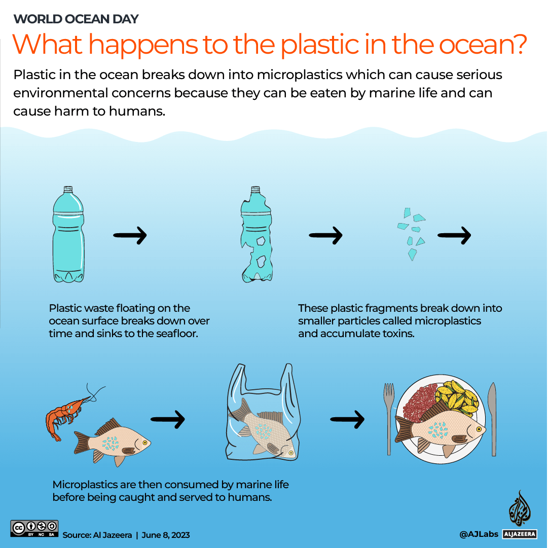 INTERACTIVE-WORLD-OCEAN-DAY-C-JUNE7-2023-1686141799