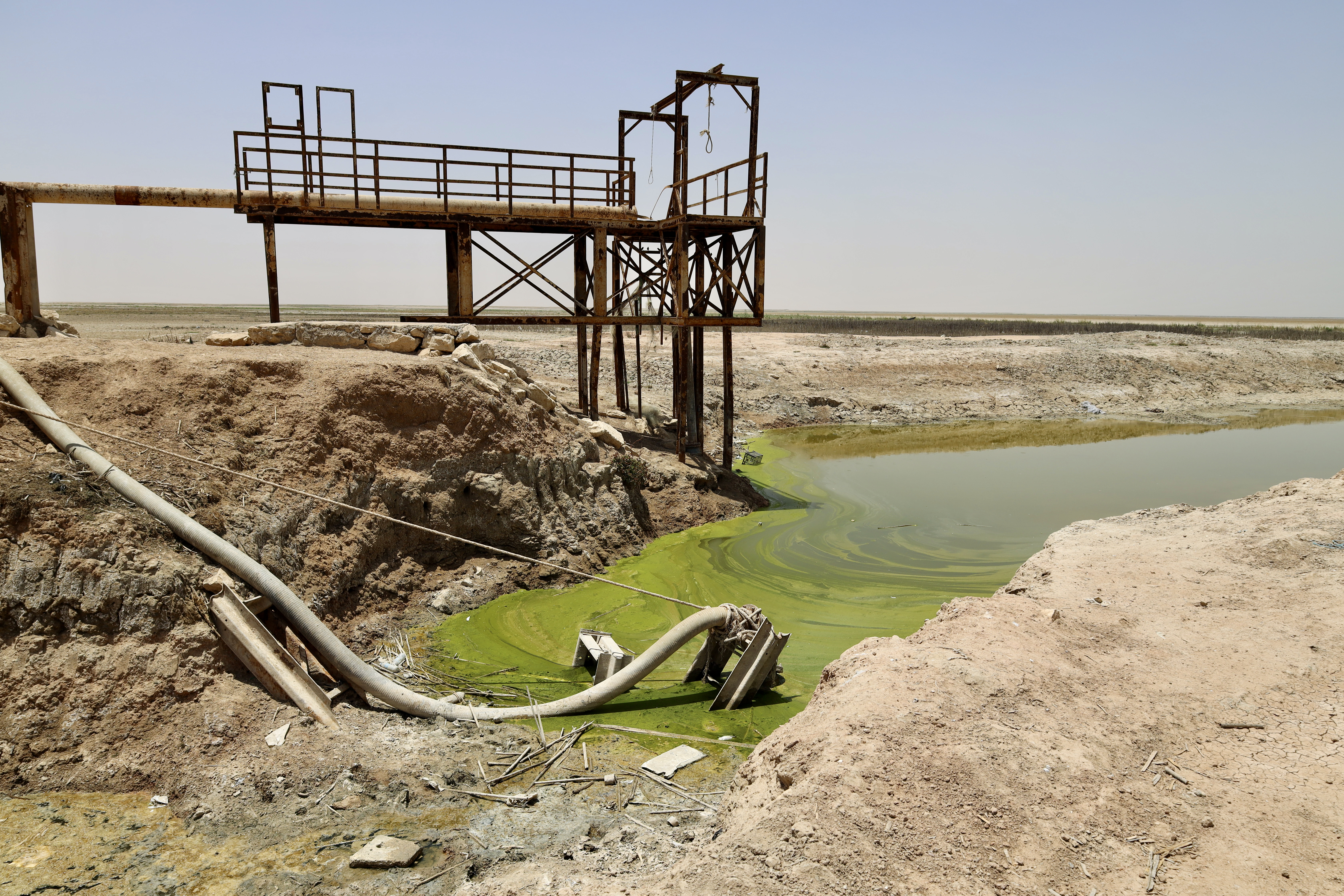 The closest water to Al Ankour, lime green and polluted from flow of water to the lake. A former pipe used to transport water from Habbaniyah Lake to the village sits discarded in the sludge.