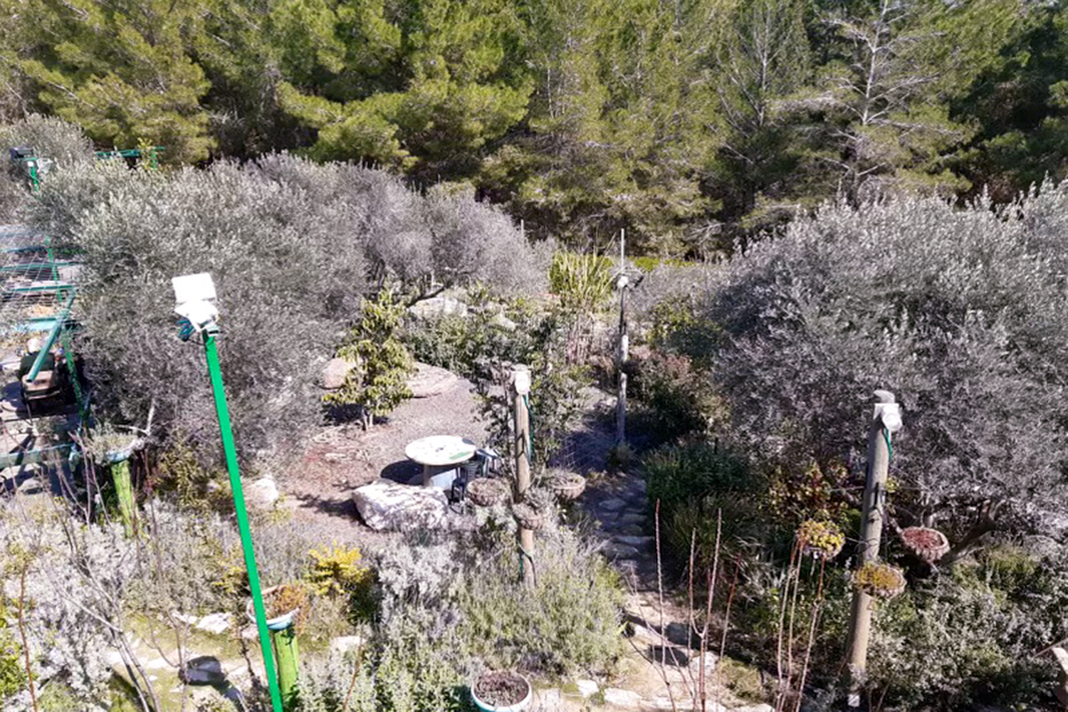 a view of the restaurant's kitchen garden