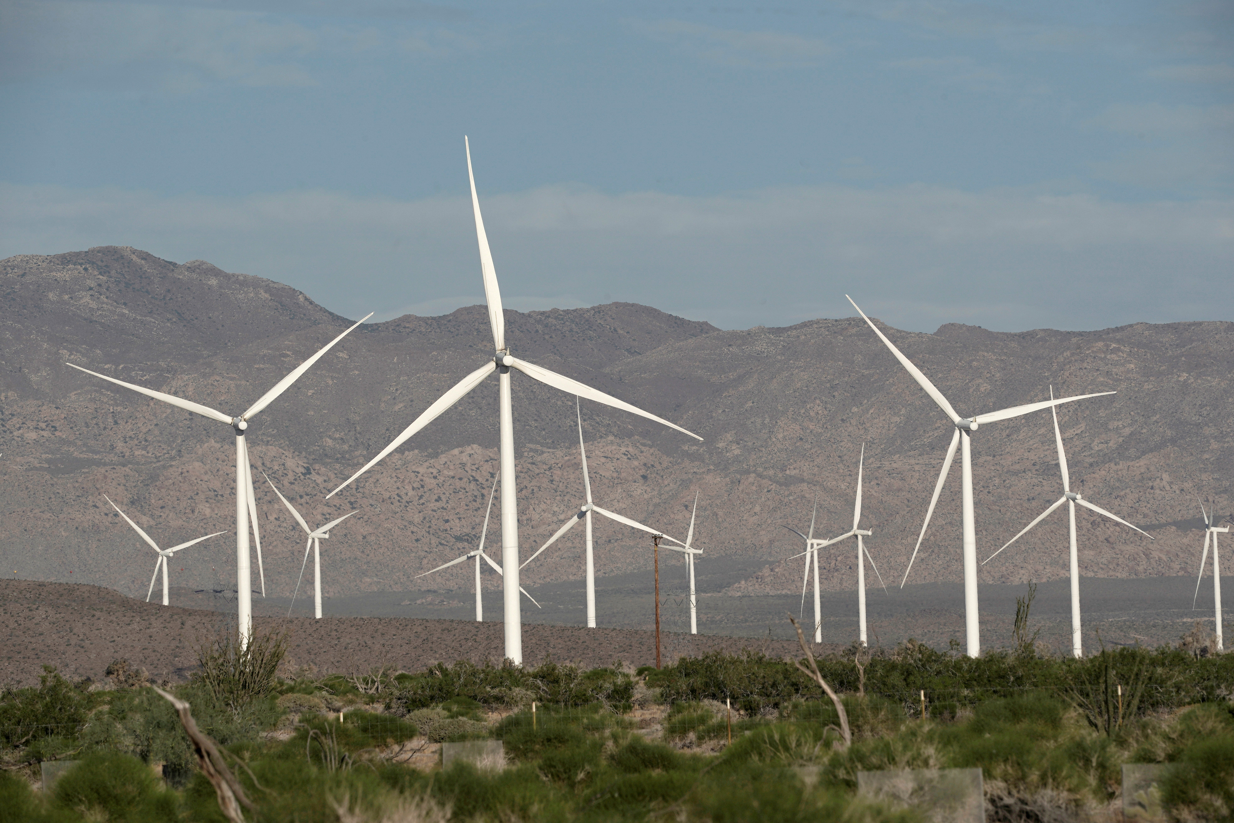 FILE PHOTO: Power-generating Siemens 2.37 megawatt (MW) wind turbines are seen at the Ocotillo Wind Energy Facility California, U.S., May 29, 2020. REUTERS/Bing Guan//File Photo