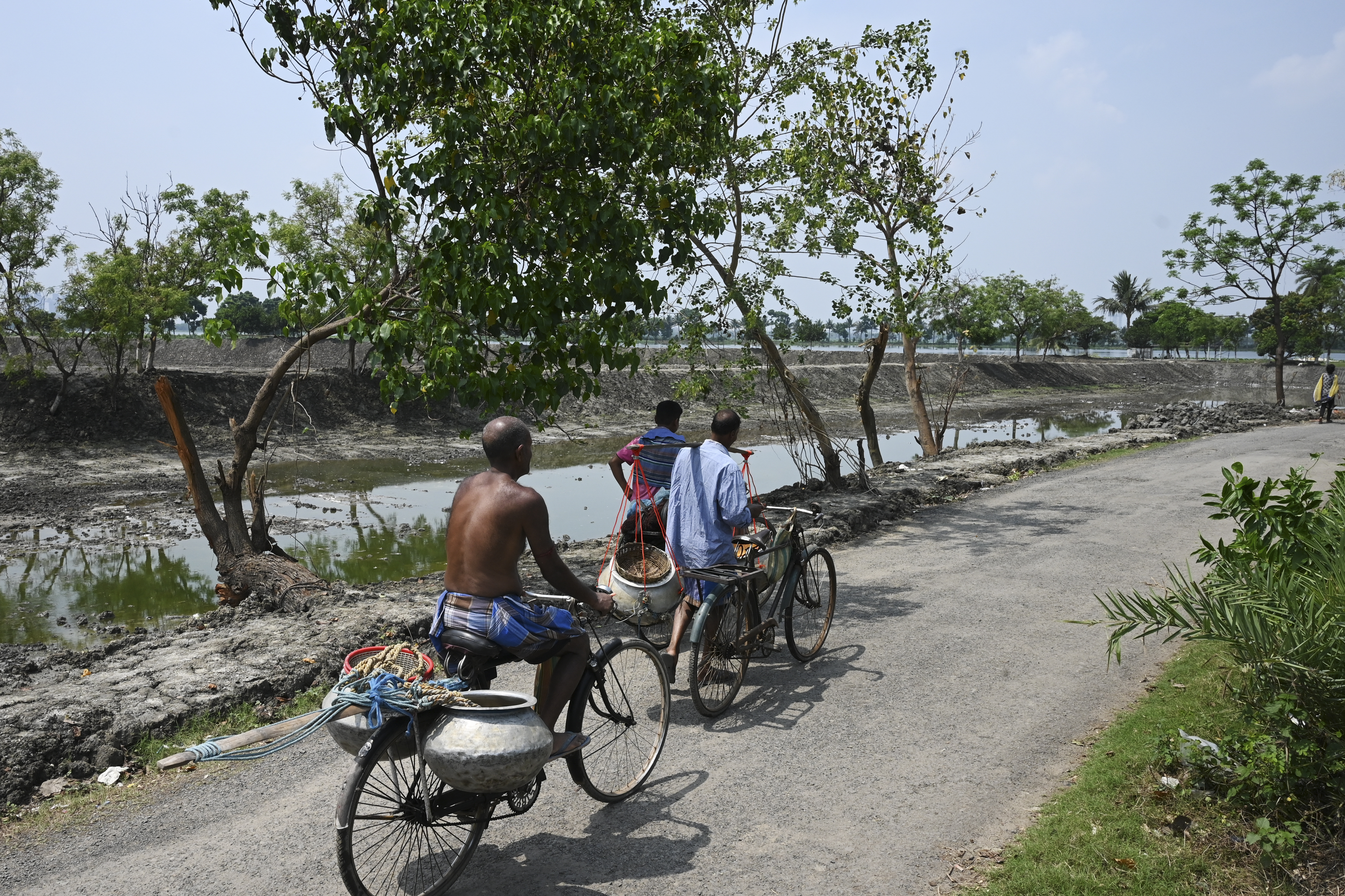 Wetlands just outside India's Kolkata have for generations provided tonnes of food daily and thousands of jobs as they filter sewage through fish ponds -- but rapid urbanisation is threatening the ecosystem.