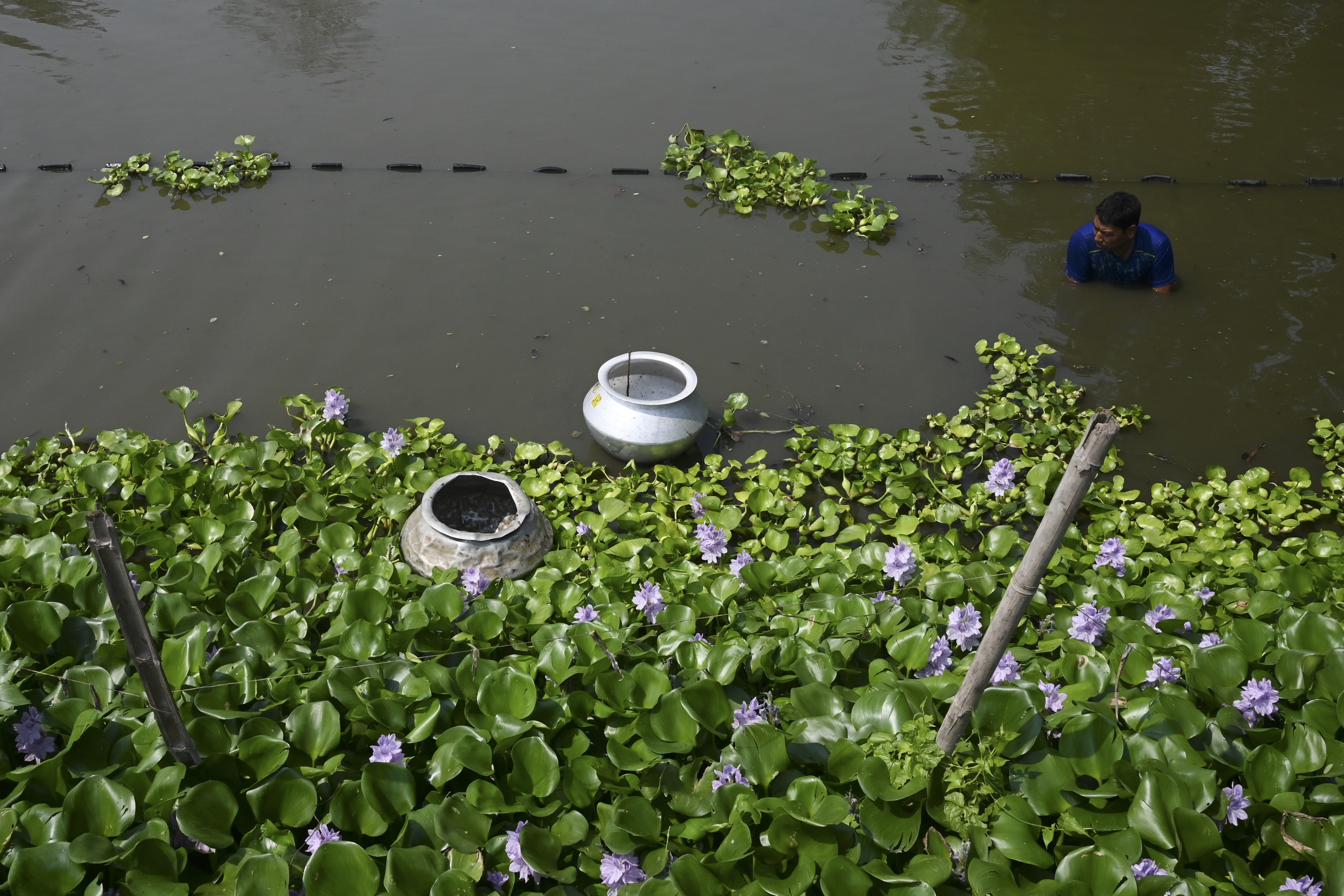 Wetlands just outside India's Kolkata have for generations provided tonnes of food daily and thousands of jobs as they filter sewage through fish ponds -- but rapid urbanisation is threatening the ecosystem.