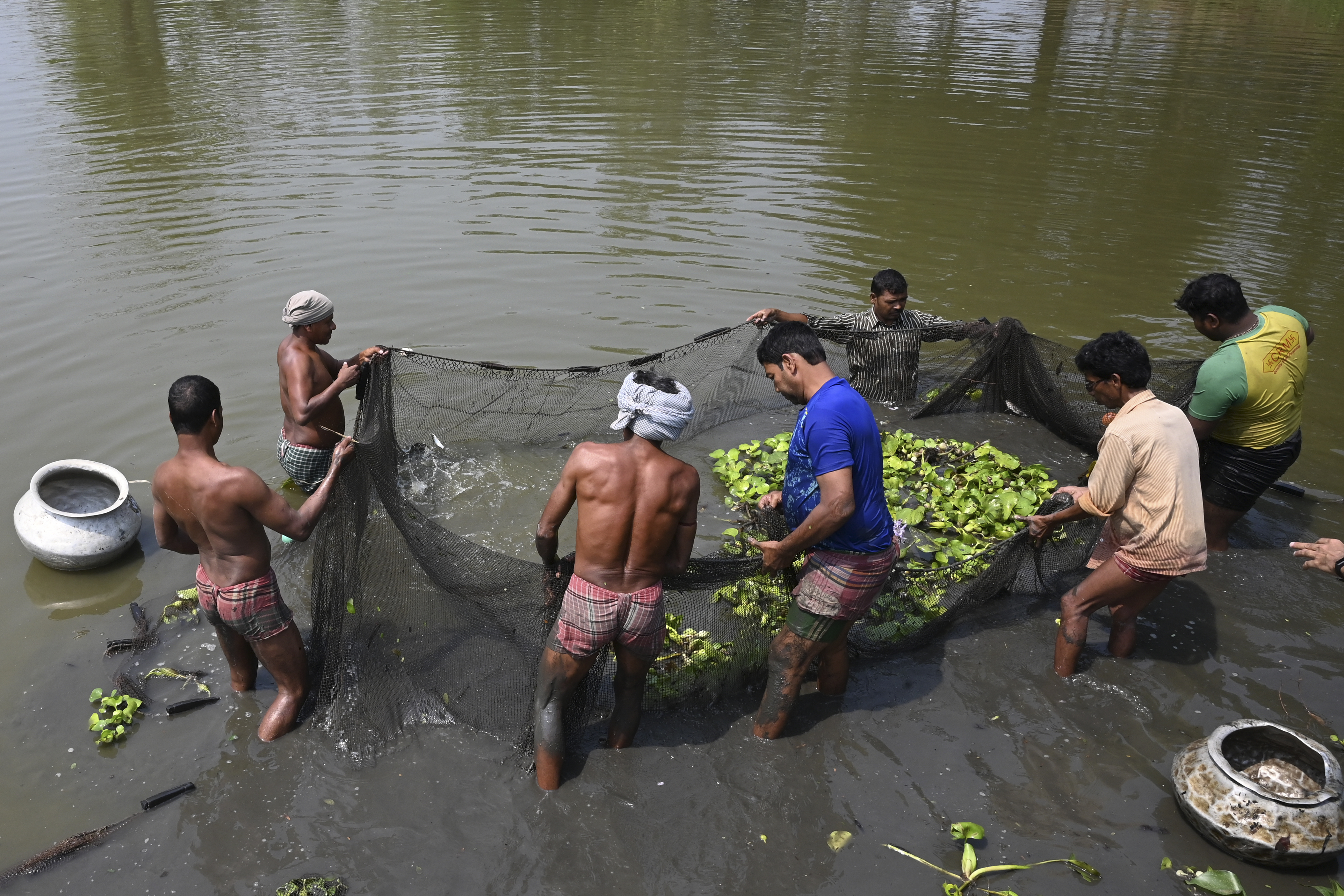 Wetlands just outside India's Kolkata have for generations provided tonnes of food daily and thousands of jobs as they filter sewage through fish ponds -- but rapid urbanisation is threatening the ecosystem.