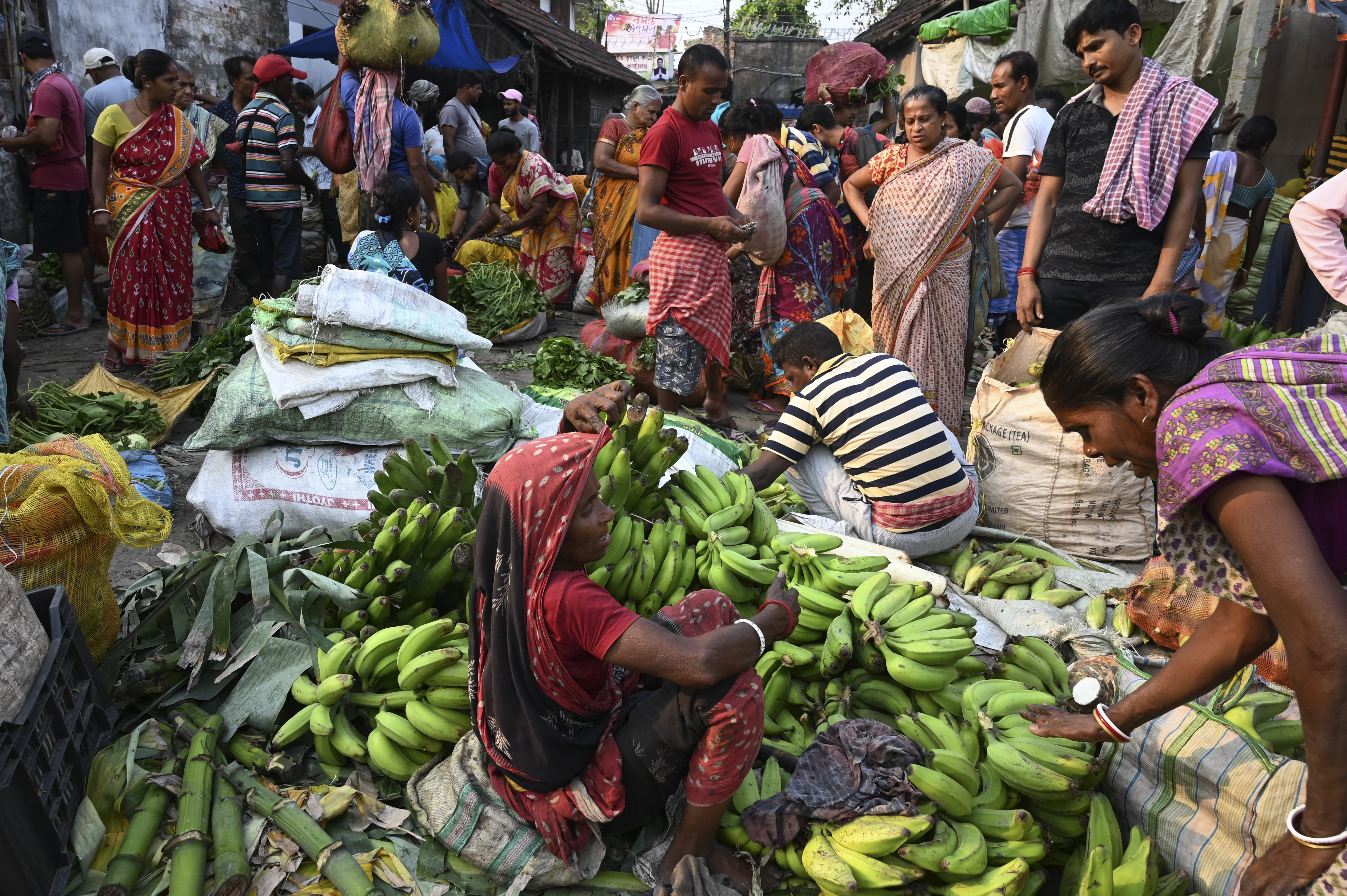 Wetlands just outside India's Kolkata have for generations provided tonnes of food daily and thousands of jobs as they filter sewage through fish ponds -- but rapid urbanisation is threatening the ecosystem.