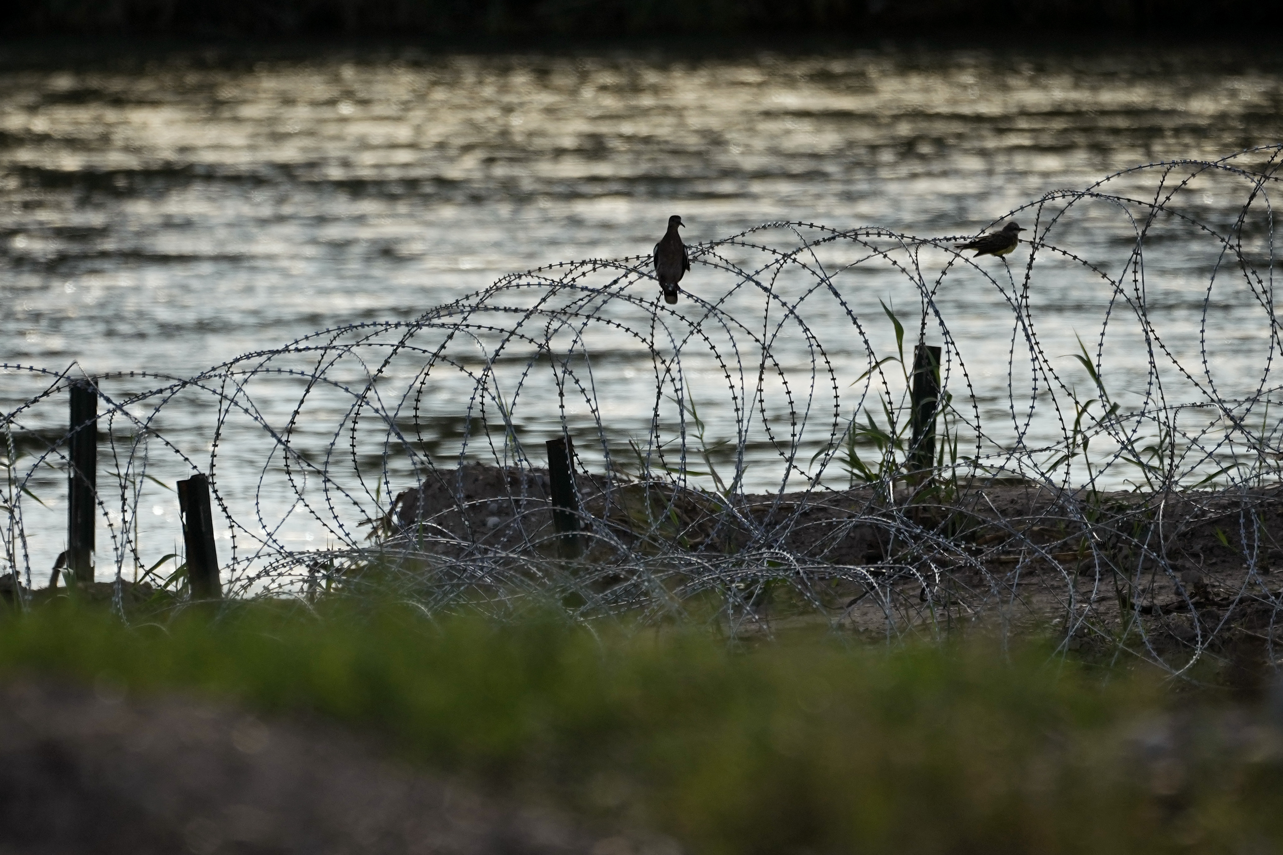 Birds rest on concertina wire along the Rio Grande