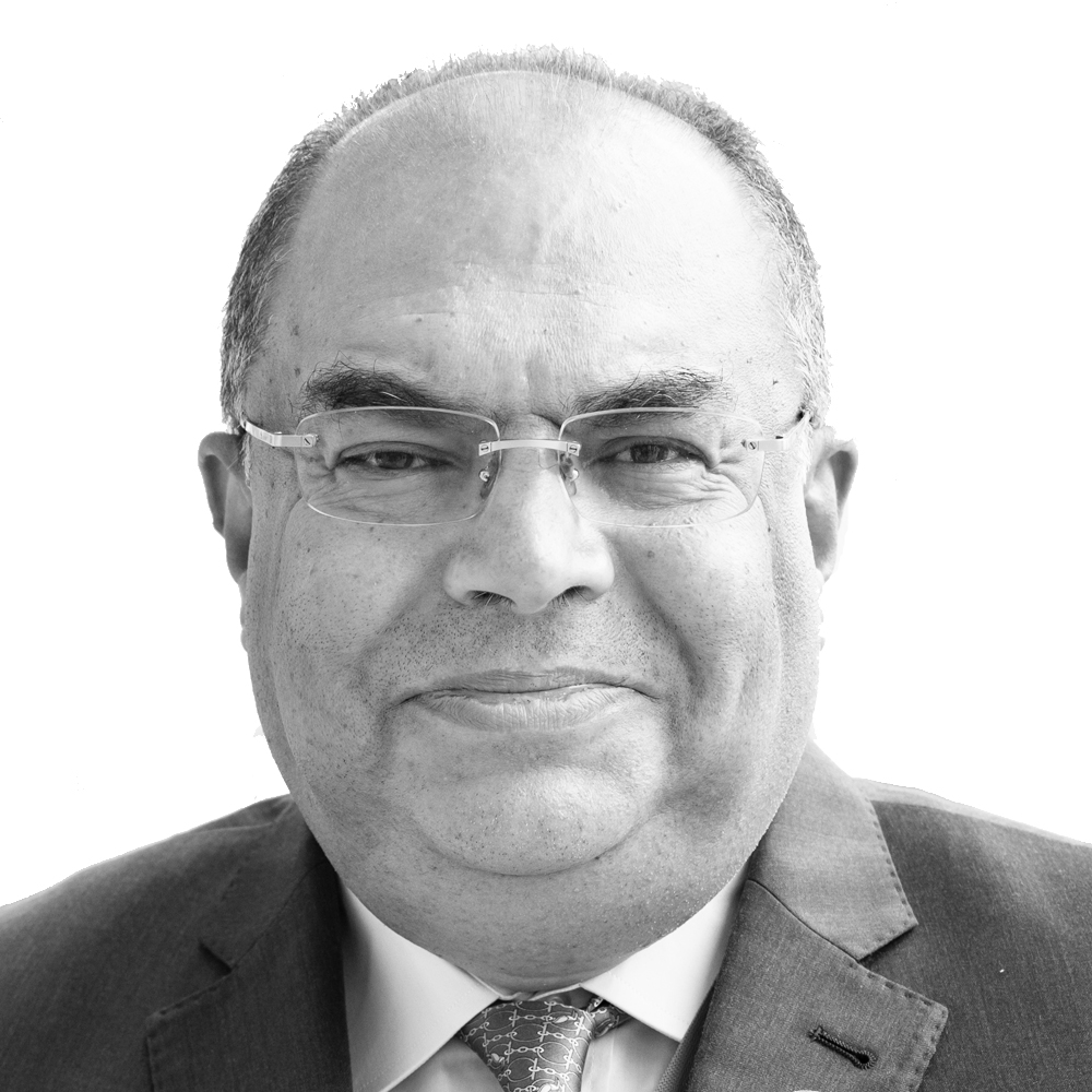Mahmoud Mohieldin