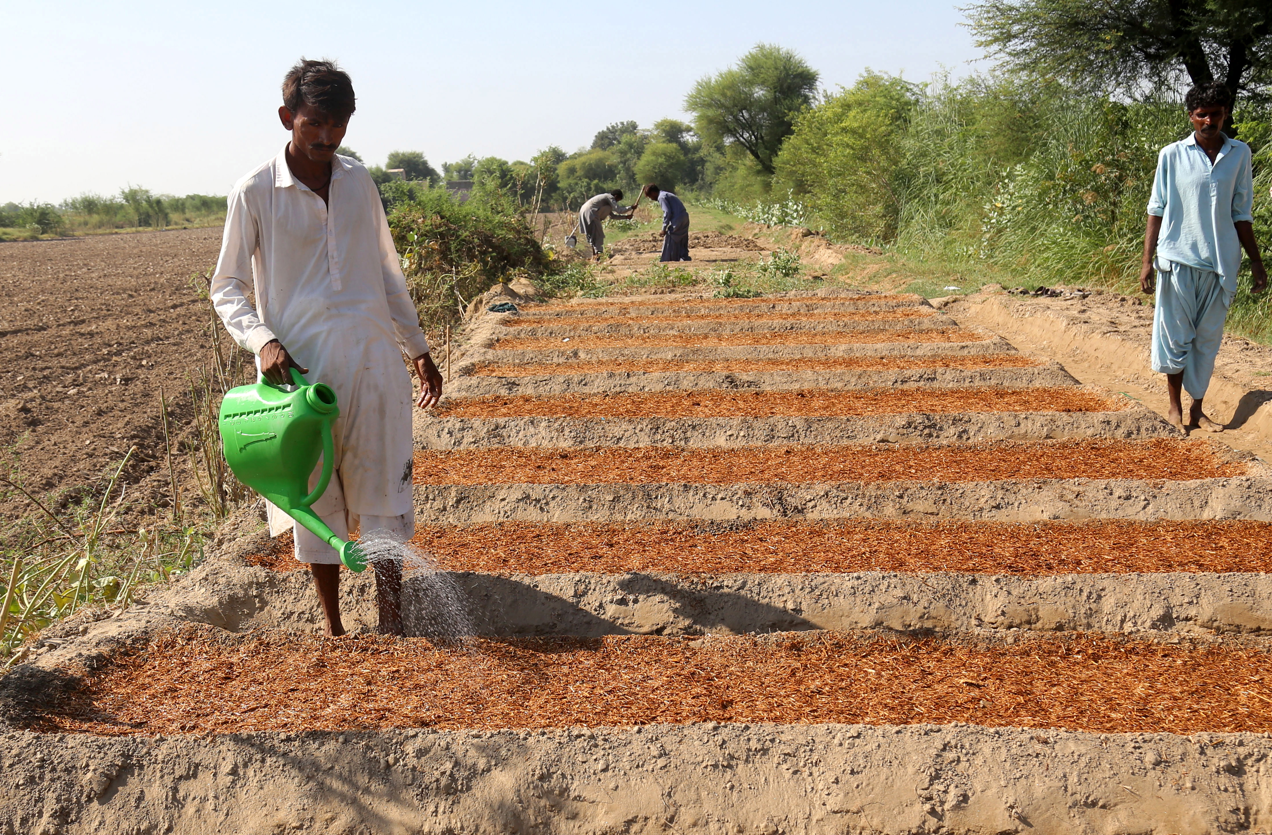 Locals prepare their land for farming after floodwater receded, in Mirpur Khas district, Sindh province, in October 2022