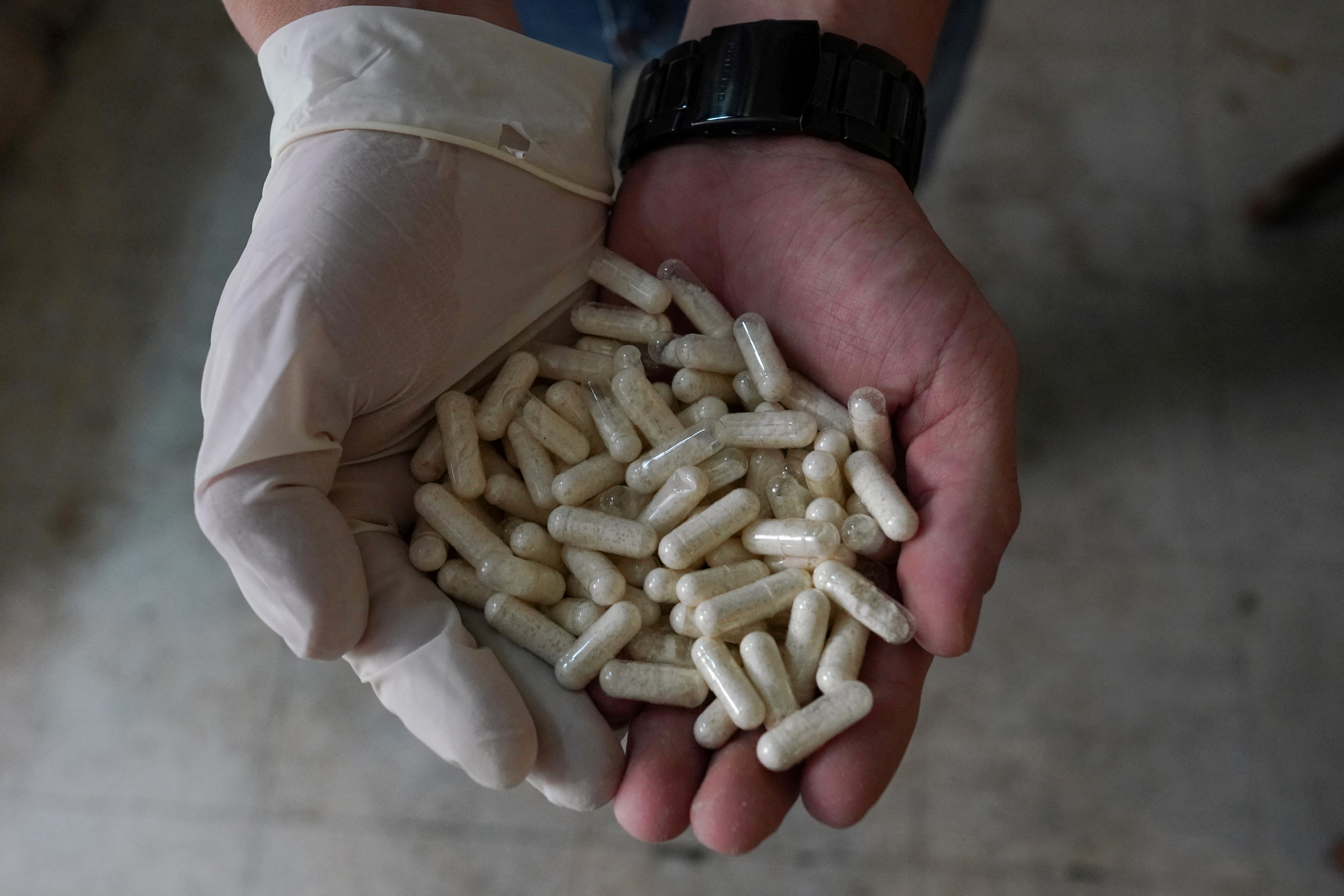 A member of the Sinaloa Cartel shows capsules with methamphetamine in a safe house in Culiacan.