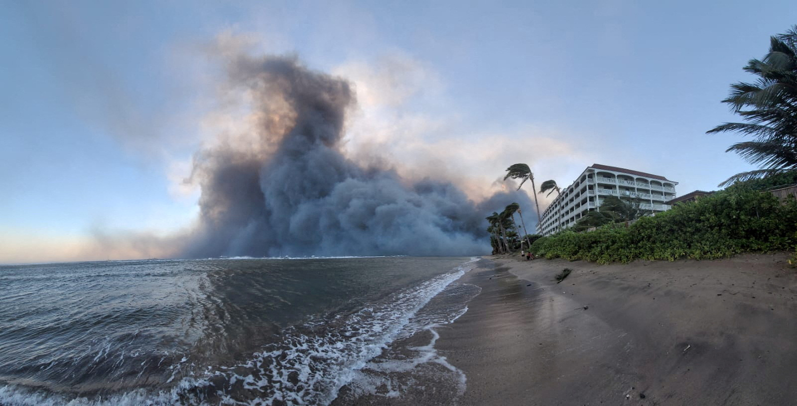 Maui fires