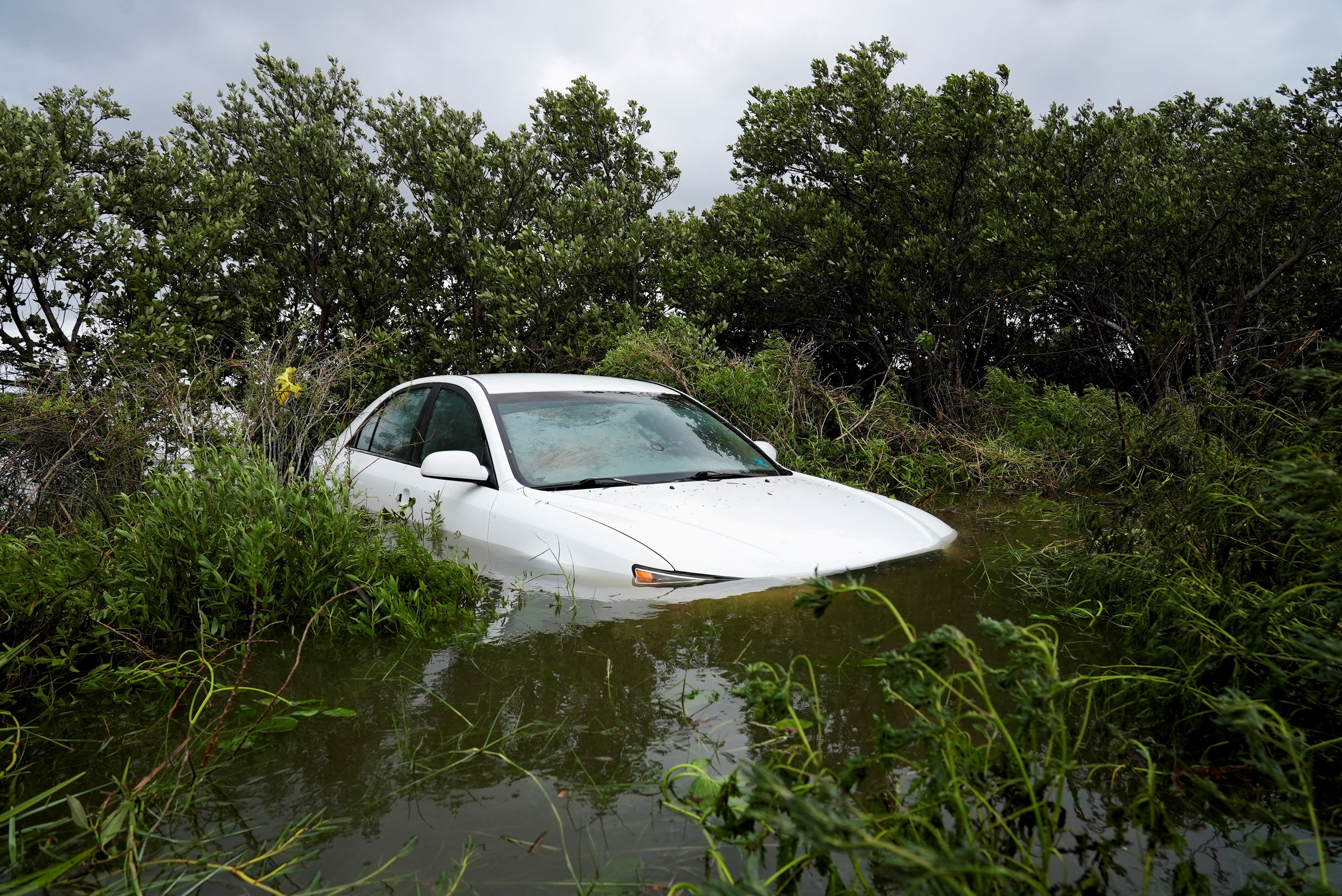 A car is up to its hood in floodwater, with fallen tree limbs surrounding it.