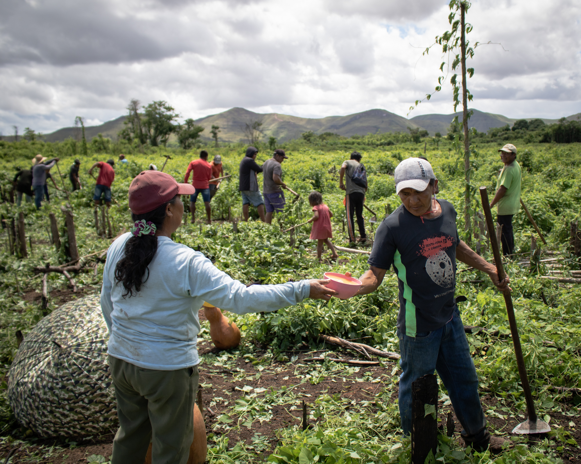 Indigenous community member Telma Macuxi offers caxiri to a community member who is helping work her land in Brazil's Amazon