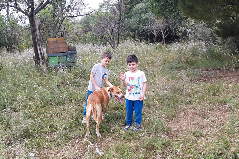 Giovanni and Riccardo play with the family dog Sheila in Claudio’s field in Caccamo, Palermo, before Claudio had to give up their pet as well as his land [Photo courtesy of Claudio Meli]