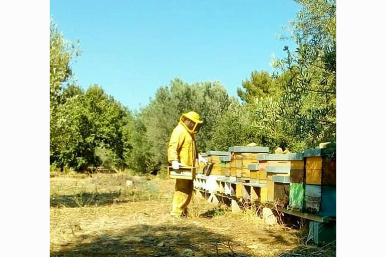 Claudio in his beekeeper suit in 2022 [Photo courtesy of Claudio Meli]