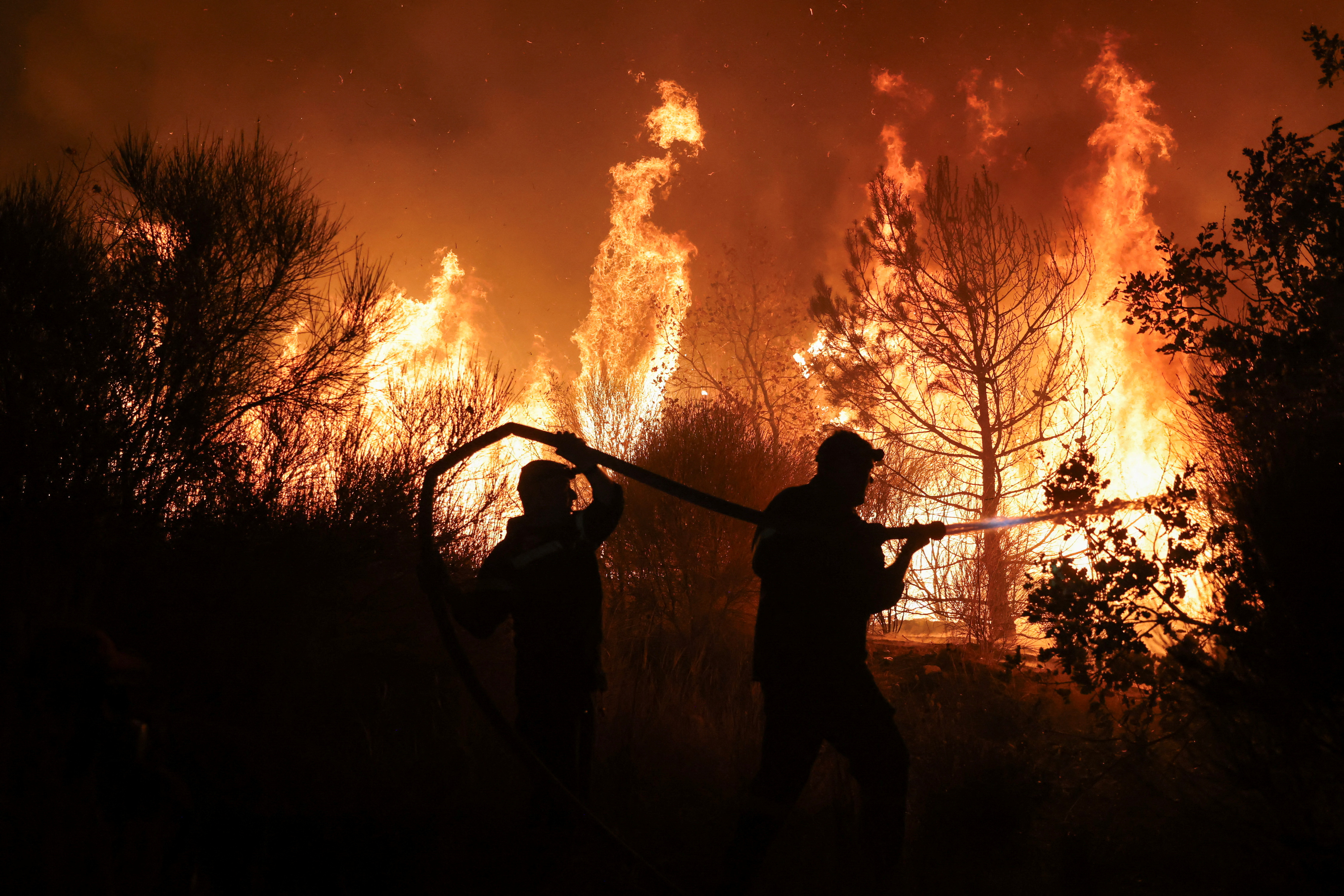 Firefighters try to extinguish a wildfire burning at the Dadia National Park in the region of Evros, Greece, September 3, 2023. REUTERS/Alexandros Avramidis
