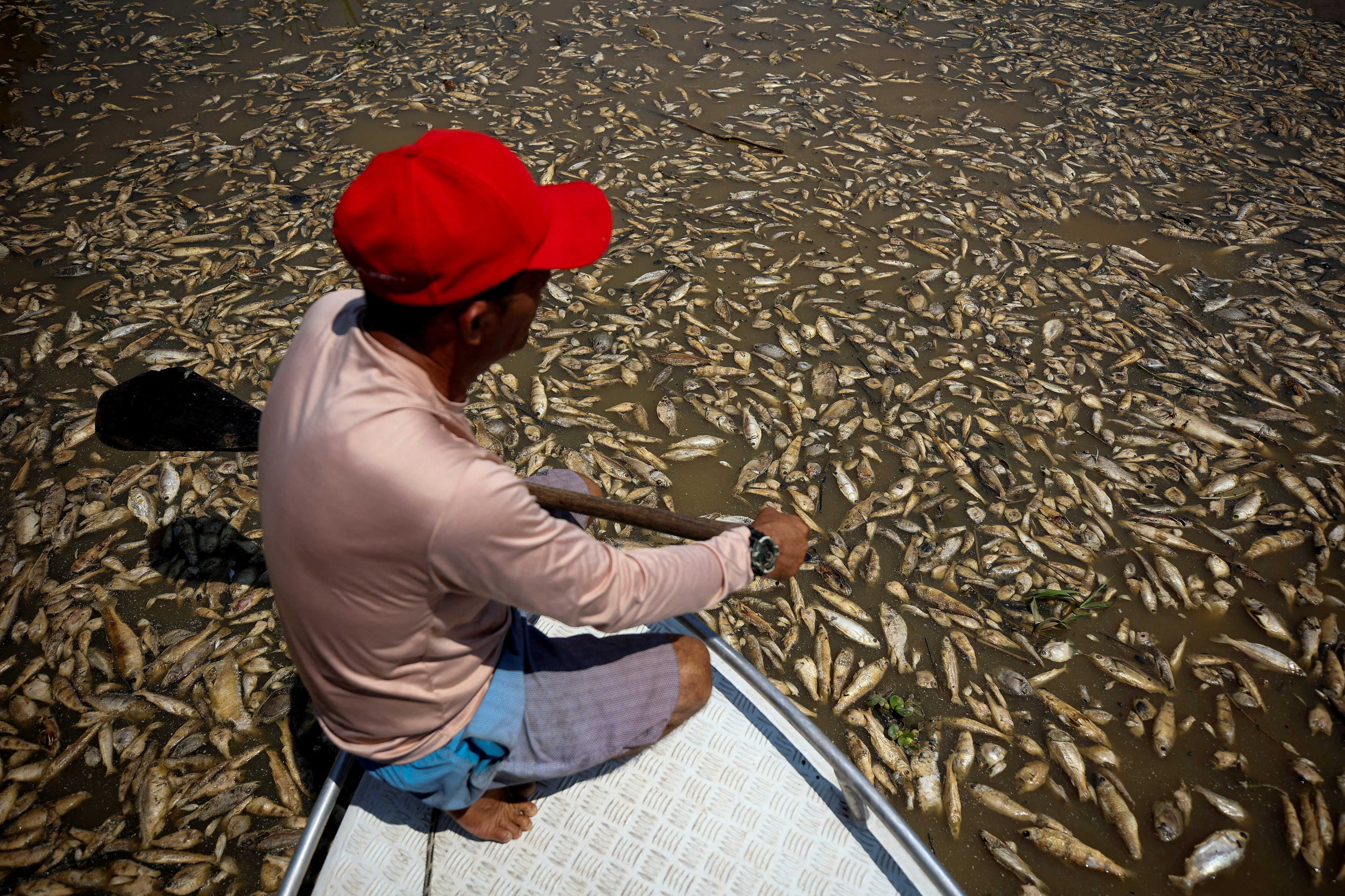 Boat pilot Paulo Monteiro da Cruz observes dead fish at Piranha lake