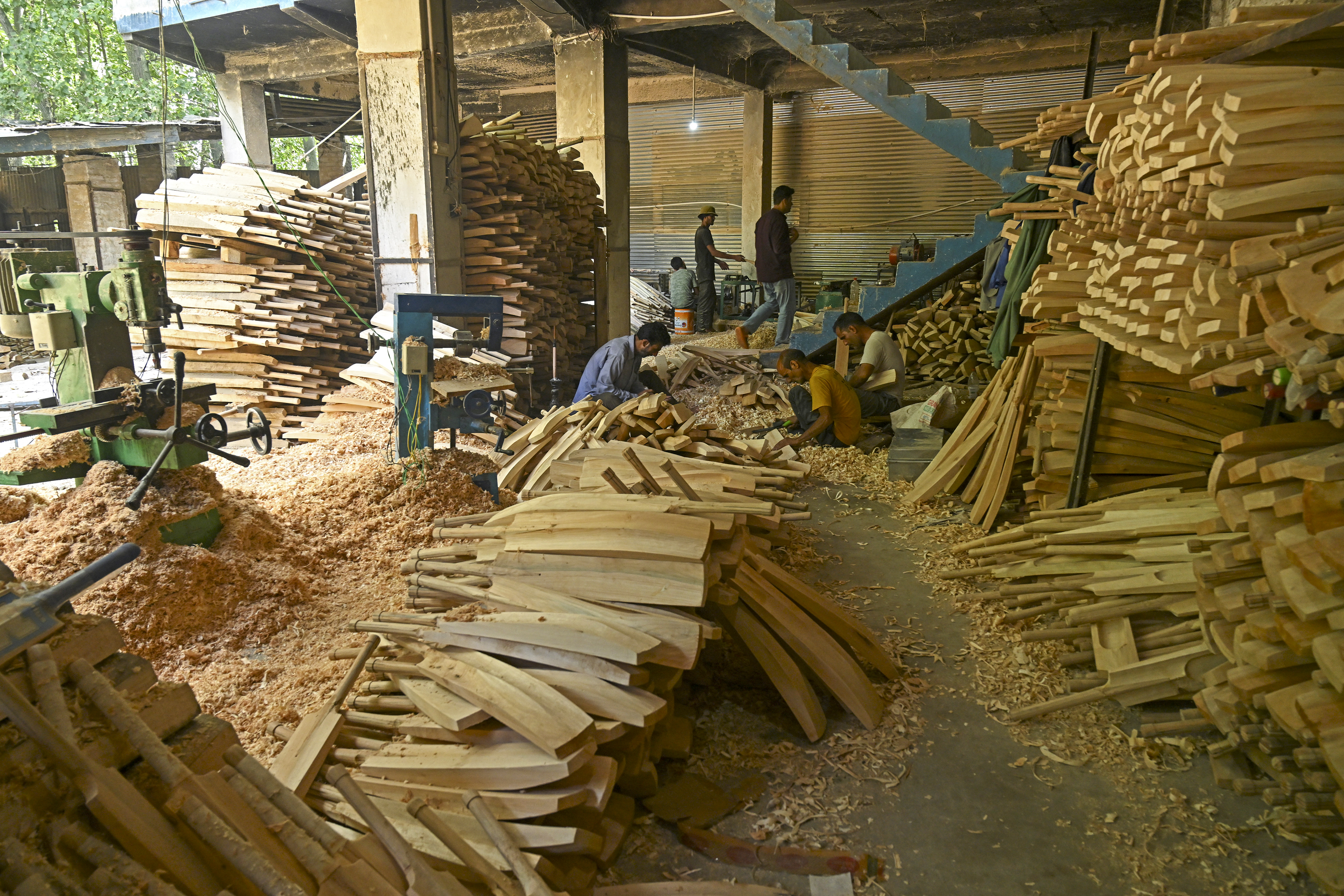 Rampant logging hits Kashmir's cricket batmakers