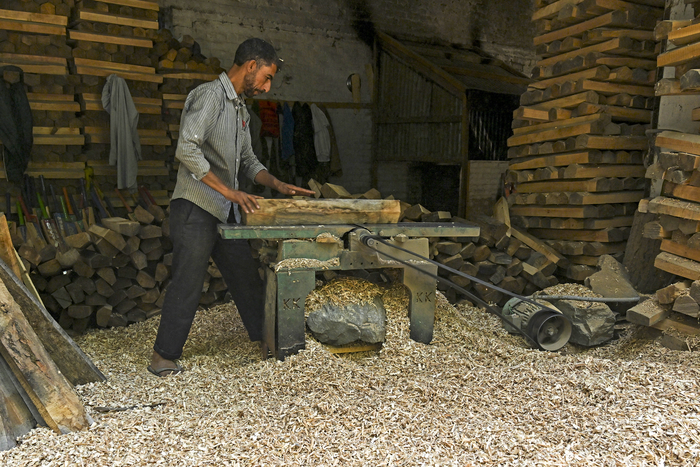 Rampant logging hits Kashmir's cricket batmakers