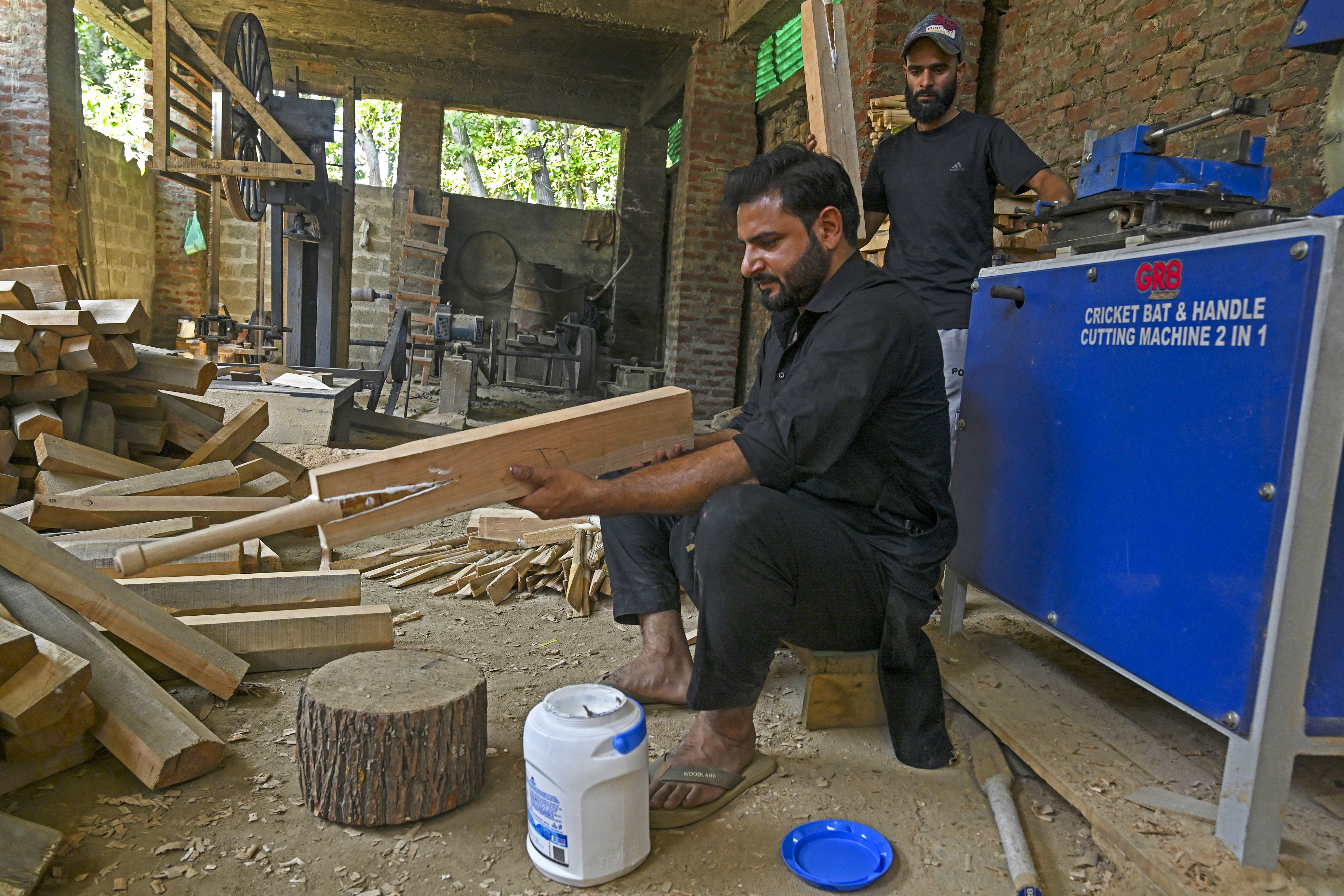 Rampant logging hits Kashmir's cricket batmakers
