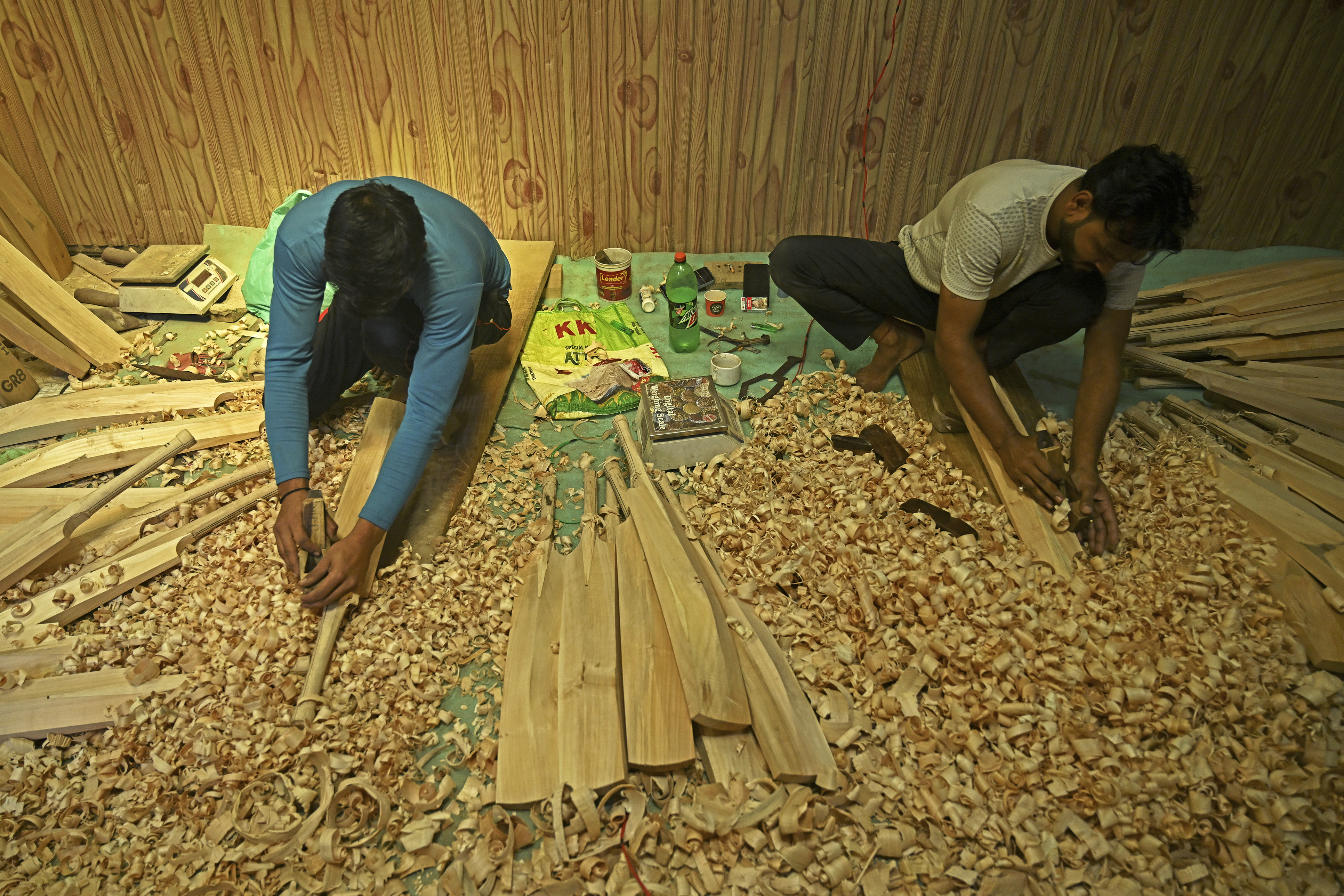 Rampant logging hits Kashmir's cricket batmakers