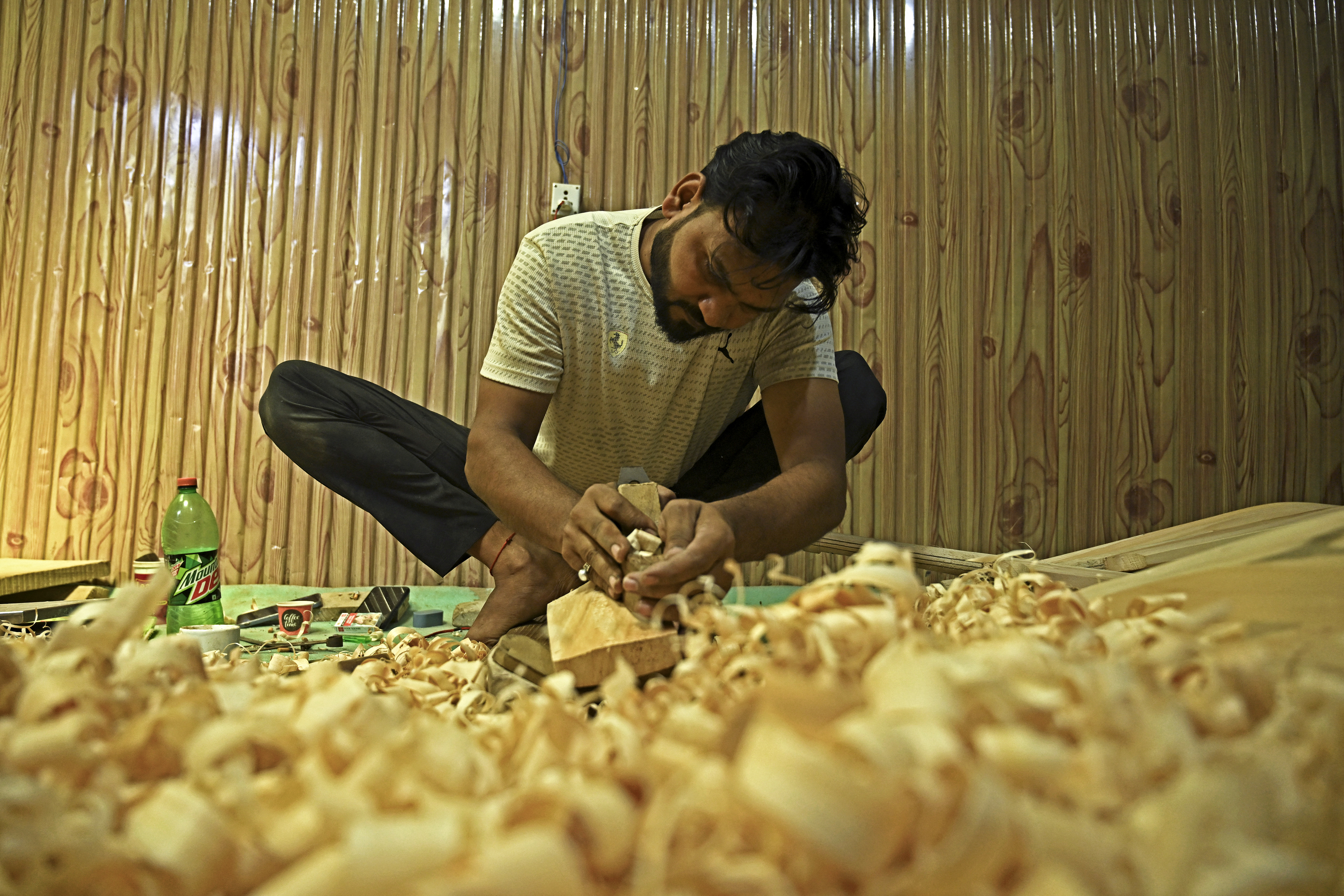 Rampant logging hits Kashmir's cricket batmakers