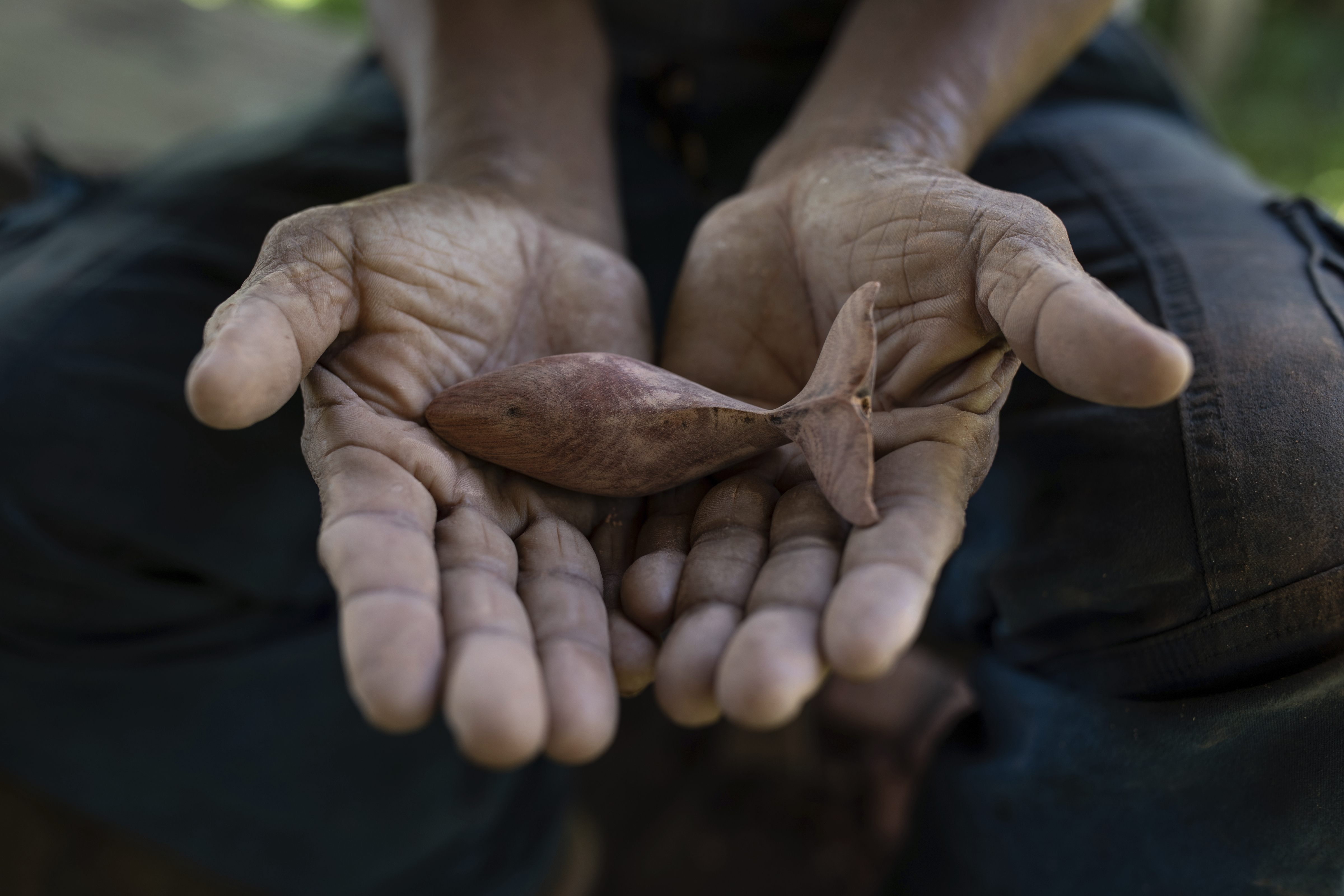 A humpback whale surfaces in the waters of Bahía Solano