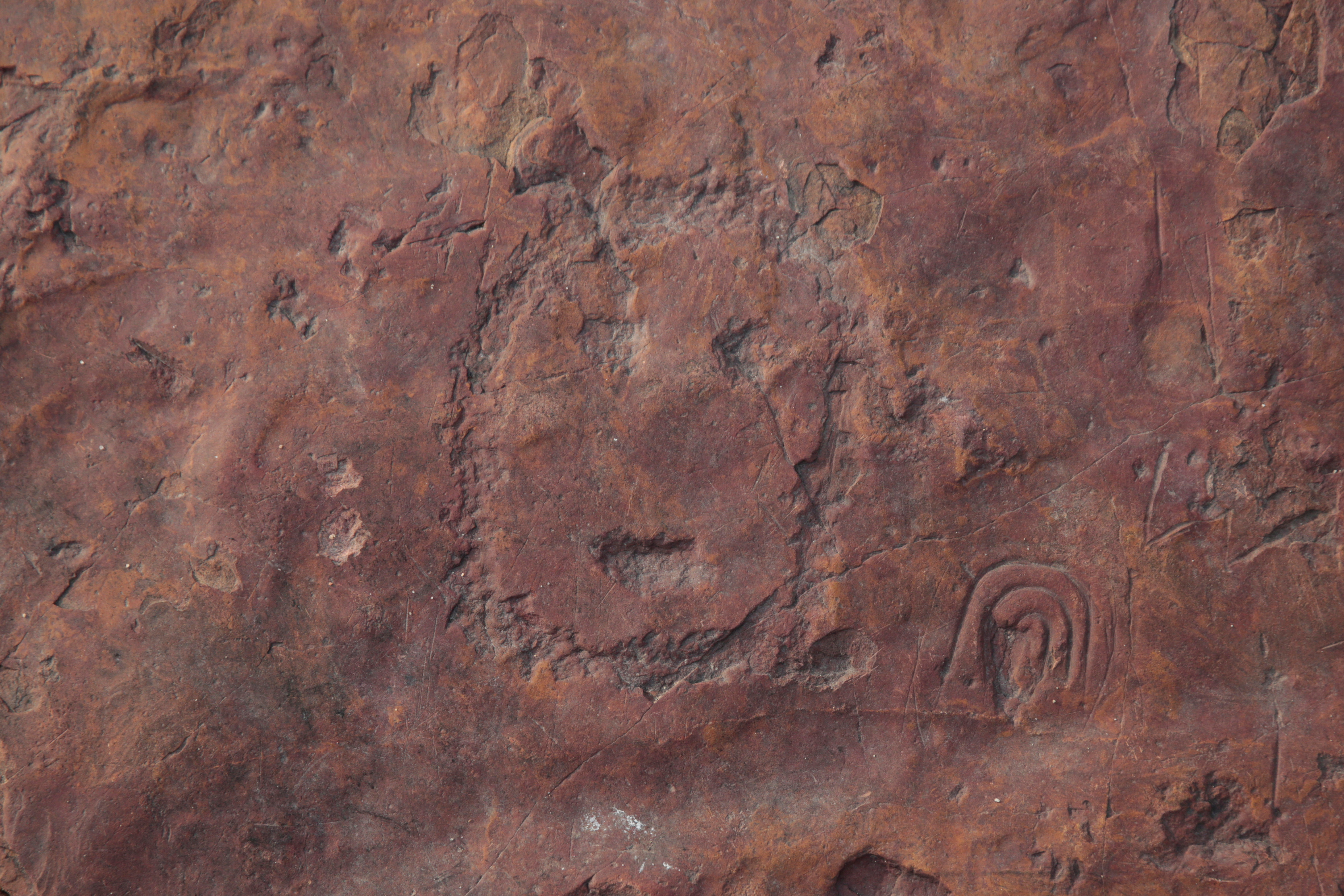 A view of ancient stone carvings on a rocky point of the Amazon river