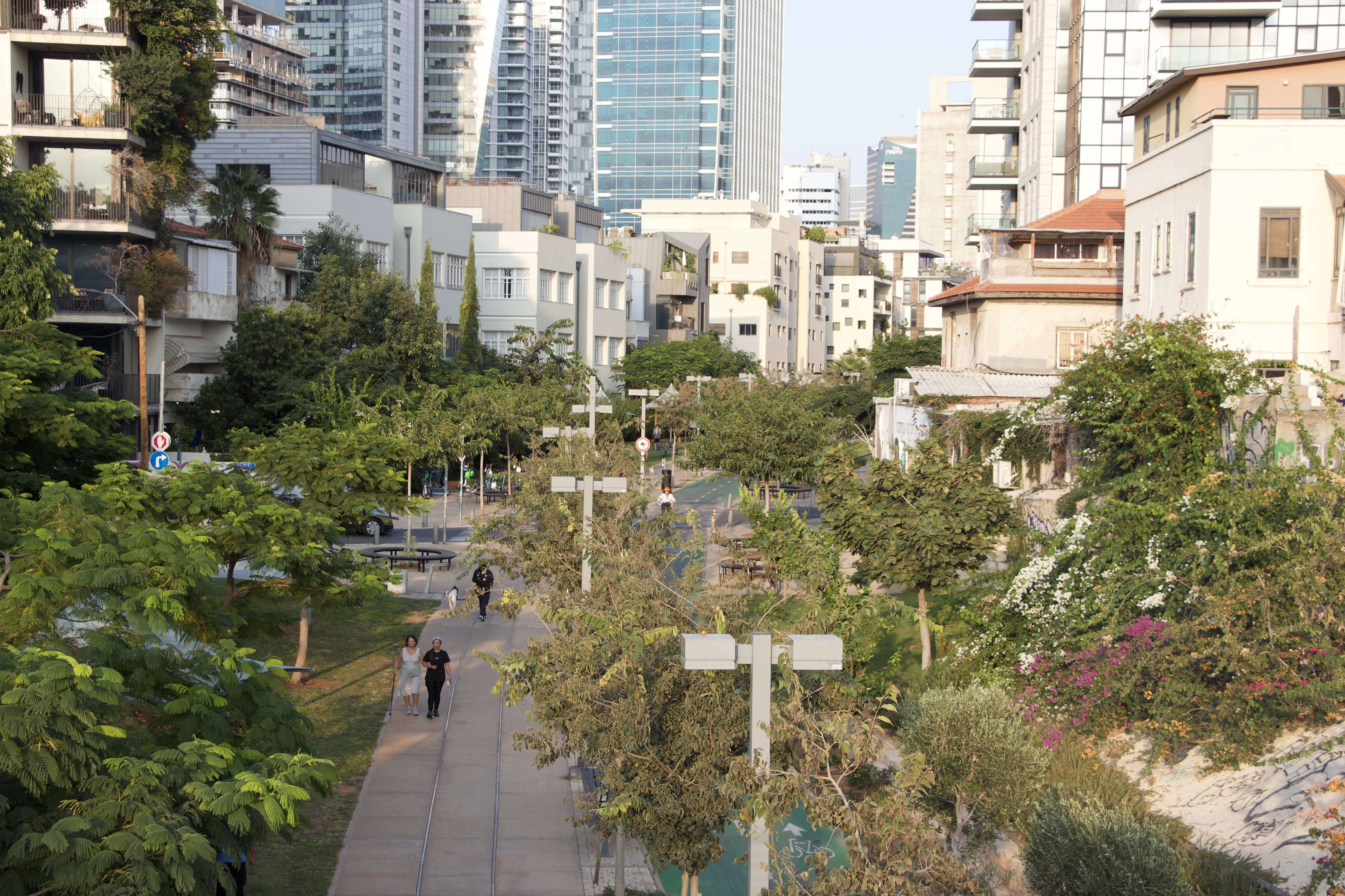 A few residents walk their dog in Tel Aviv